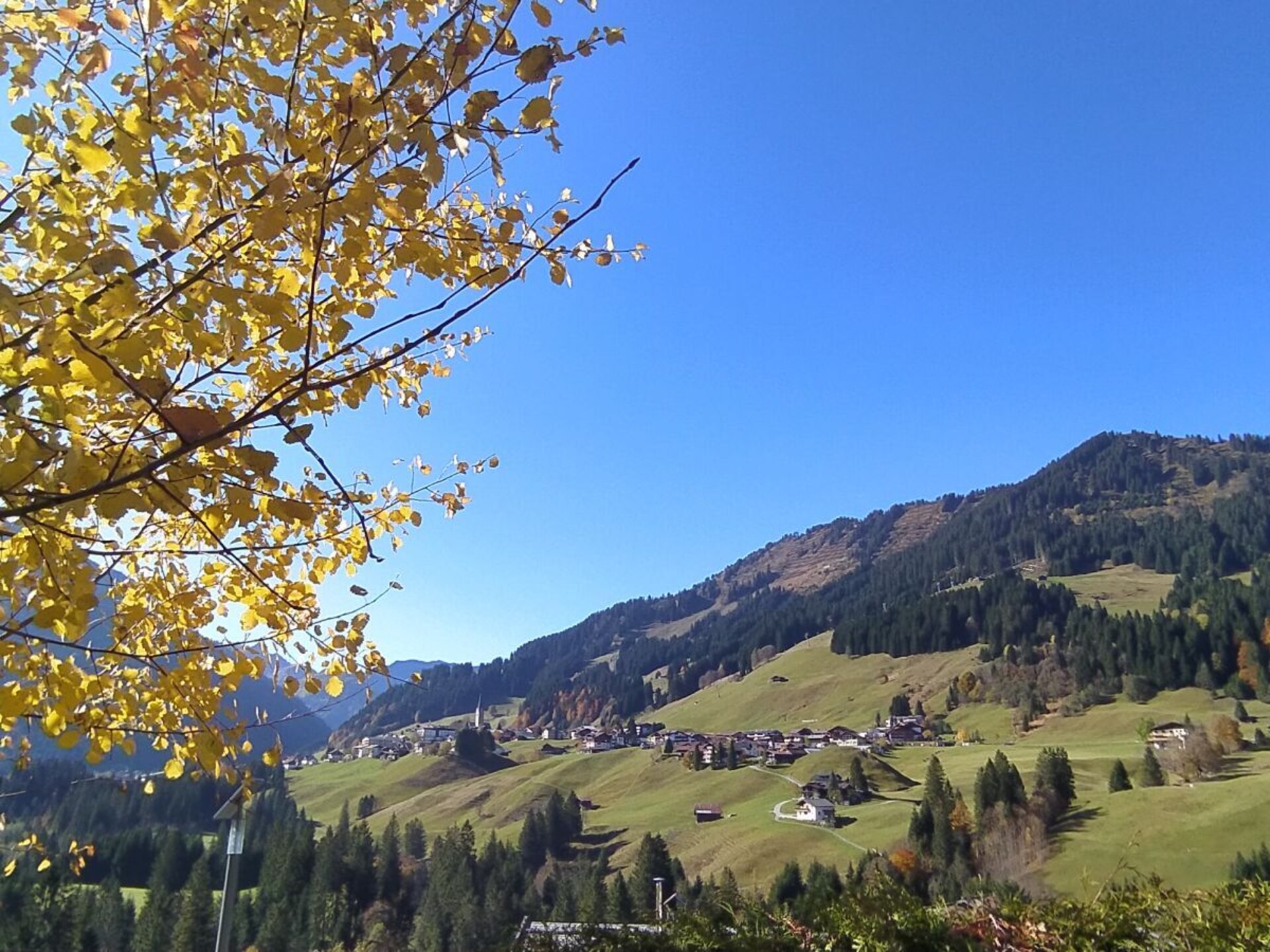 117193 - foto 31