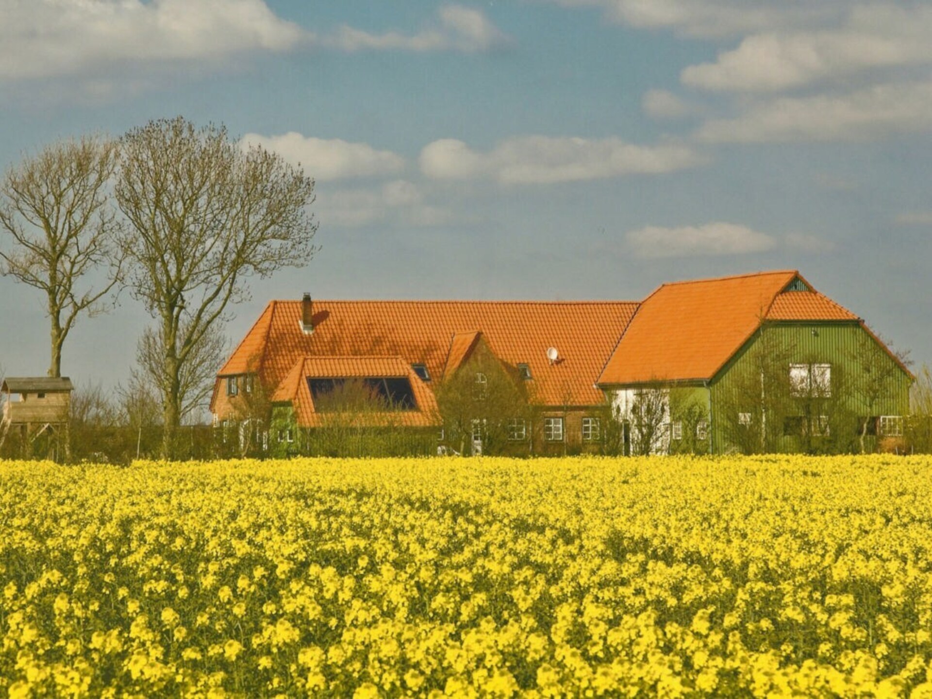 98661 - foto 1