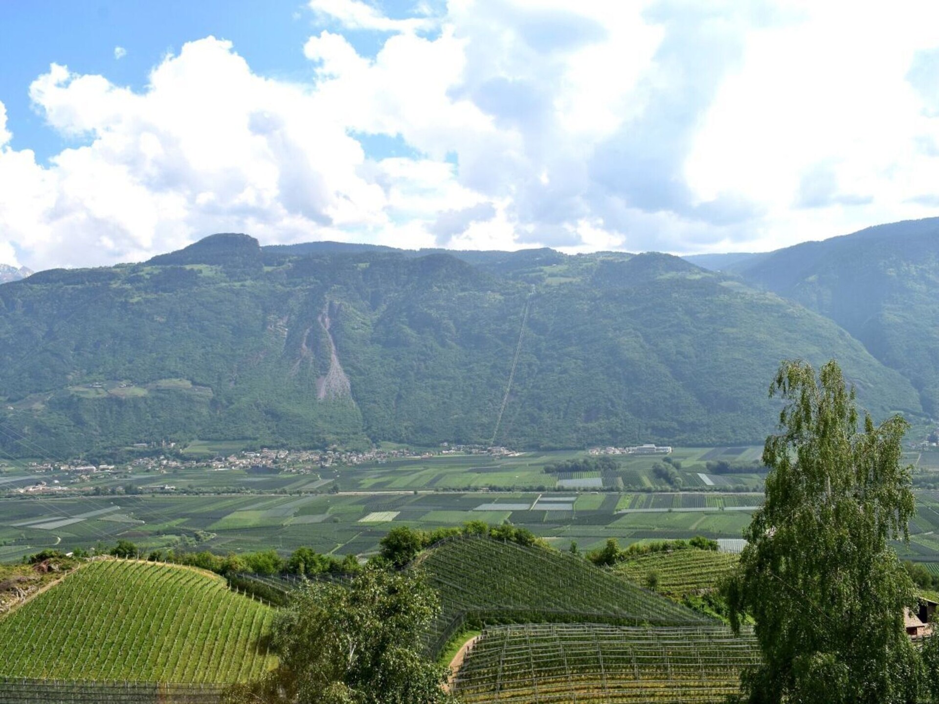 283071 - foto 13
