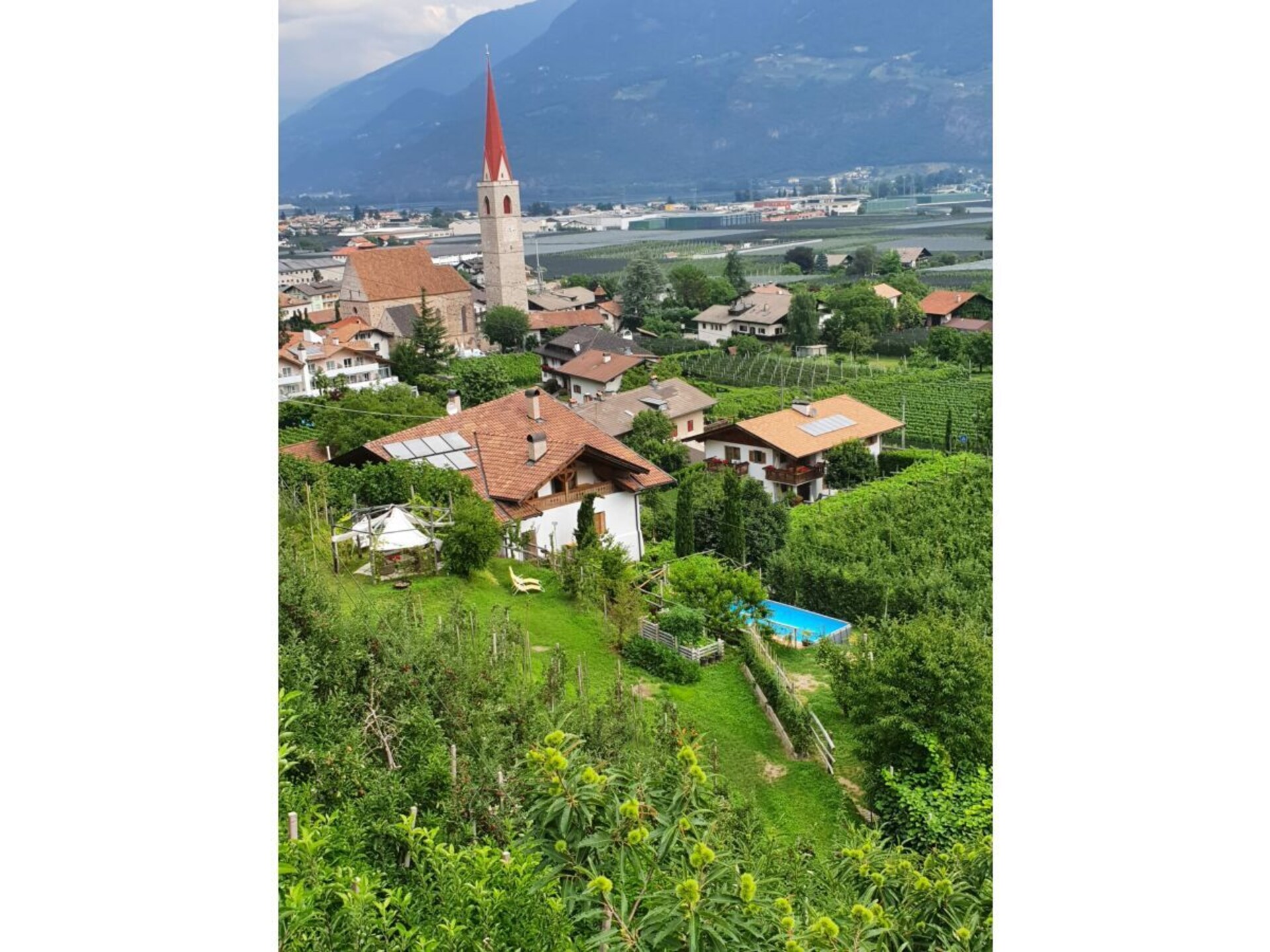 184635 - foto 14
