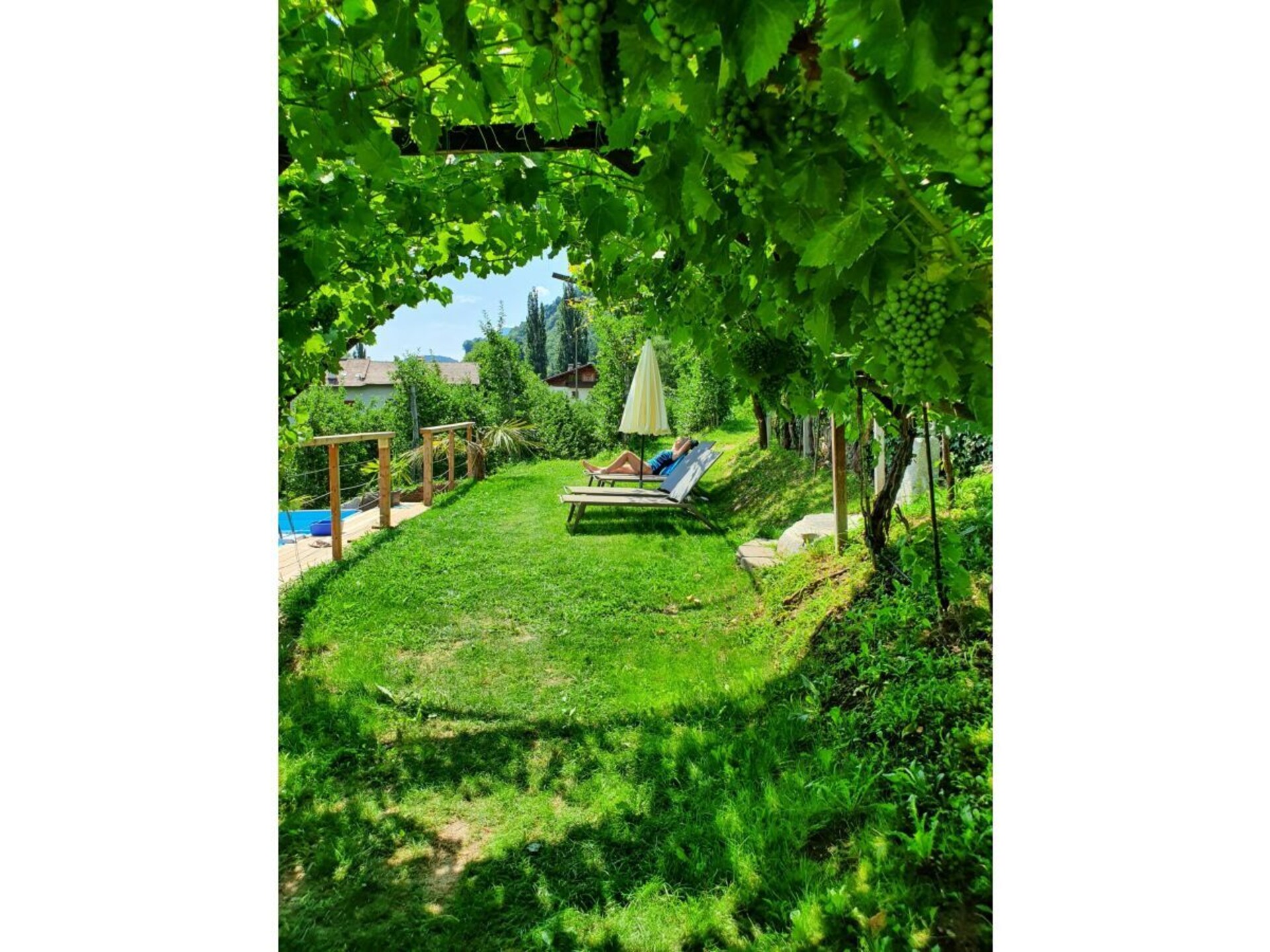 184635 - foto 15