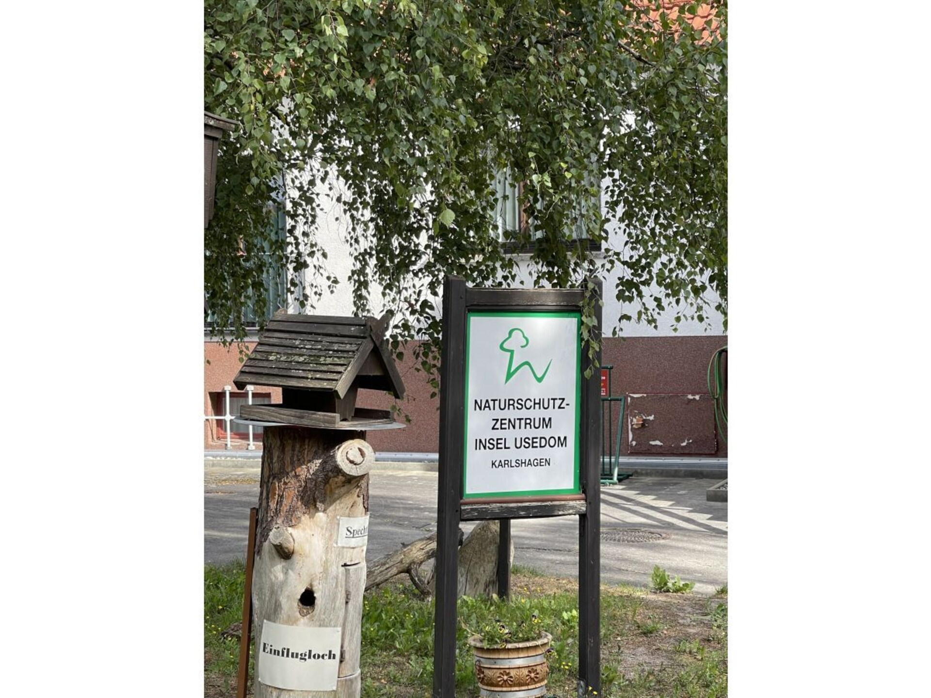 475668 - foto 28
