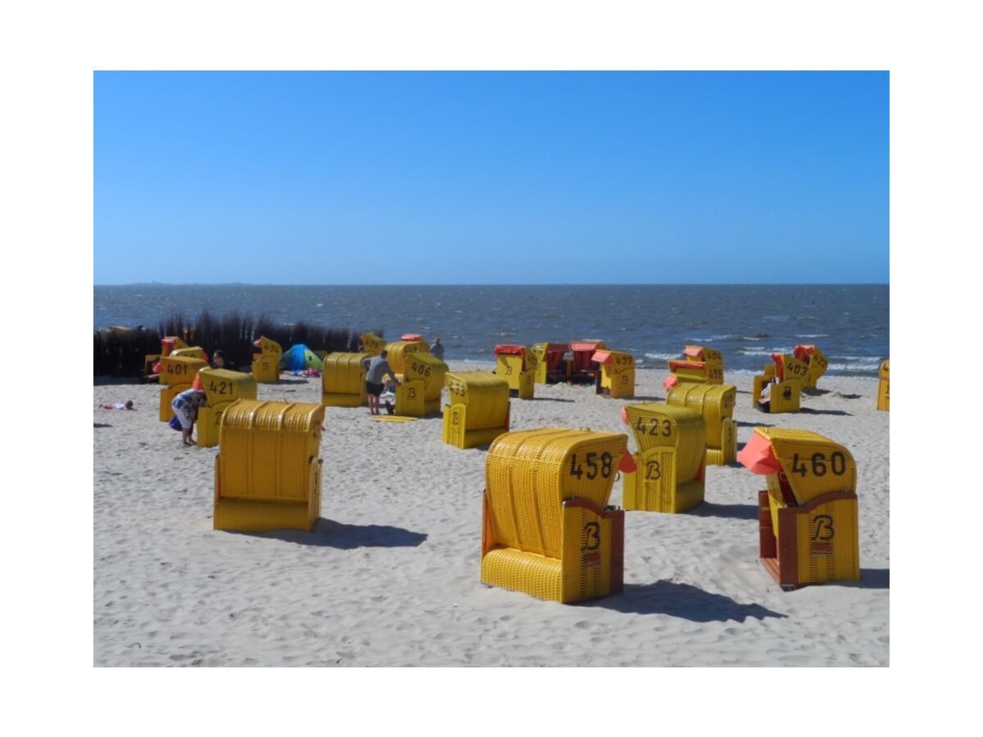 629770 - foto 12