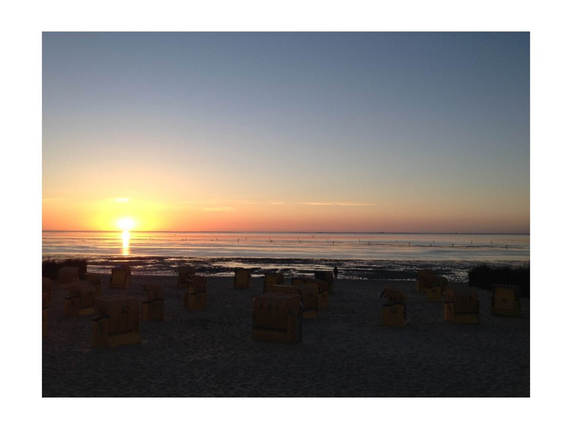 629770 - foto 14