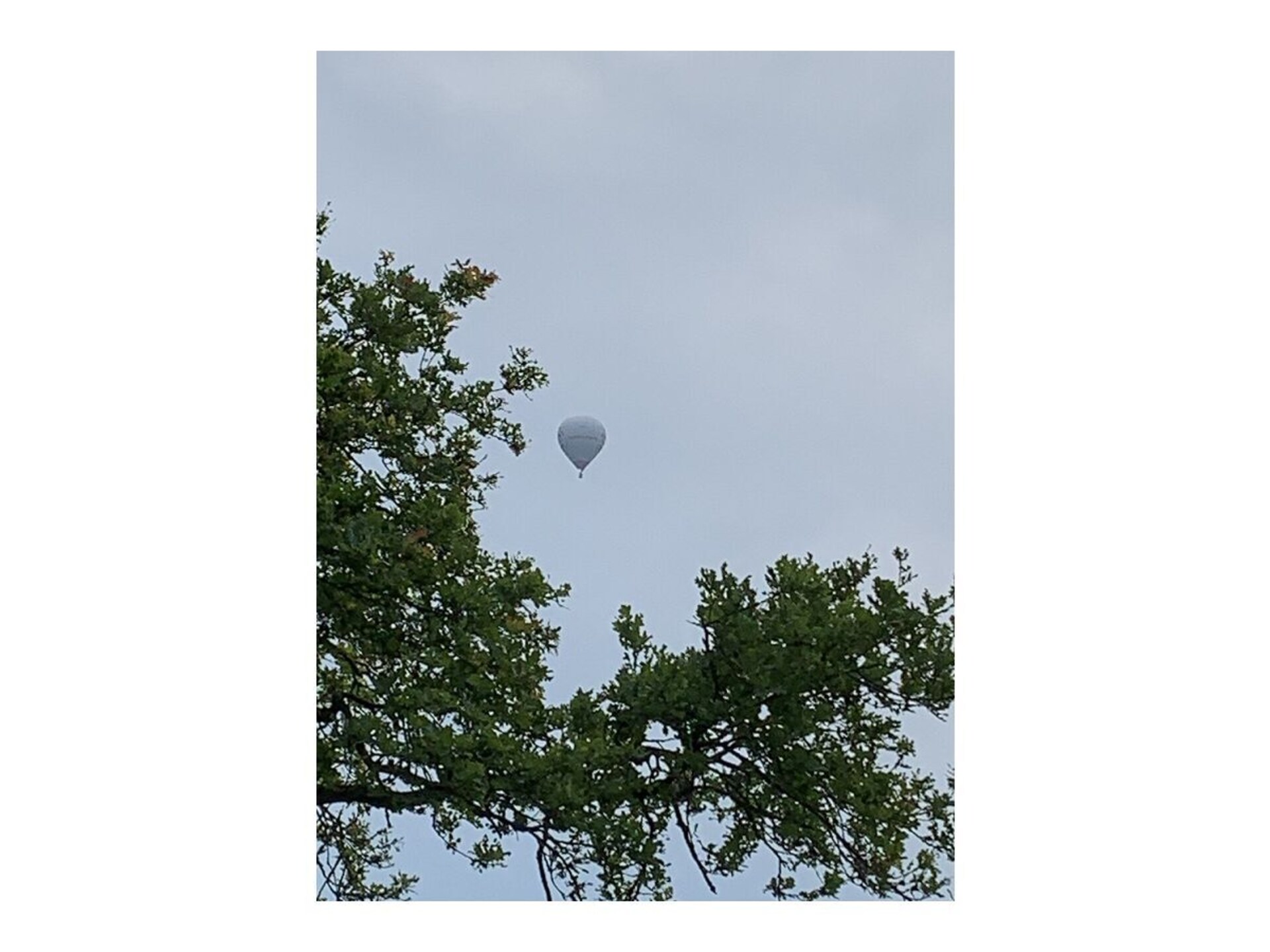 375714 - foto 27