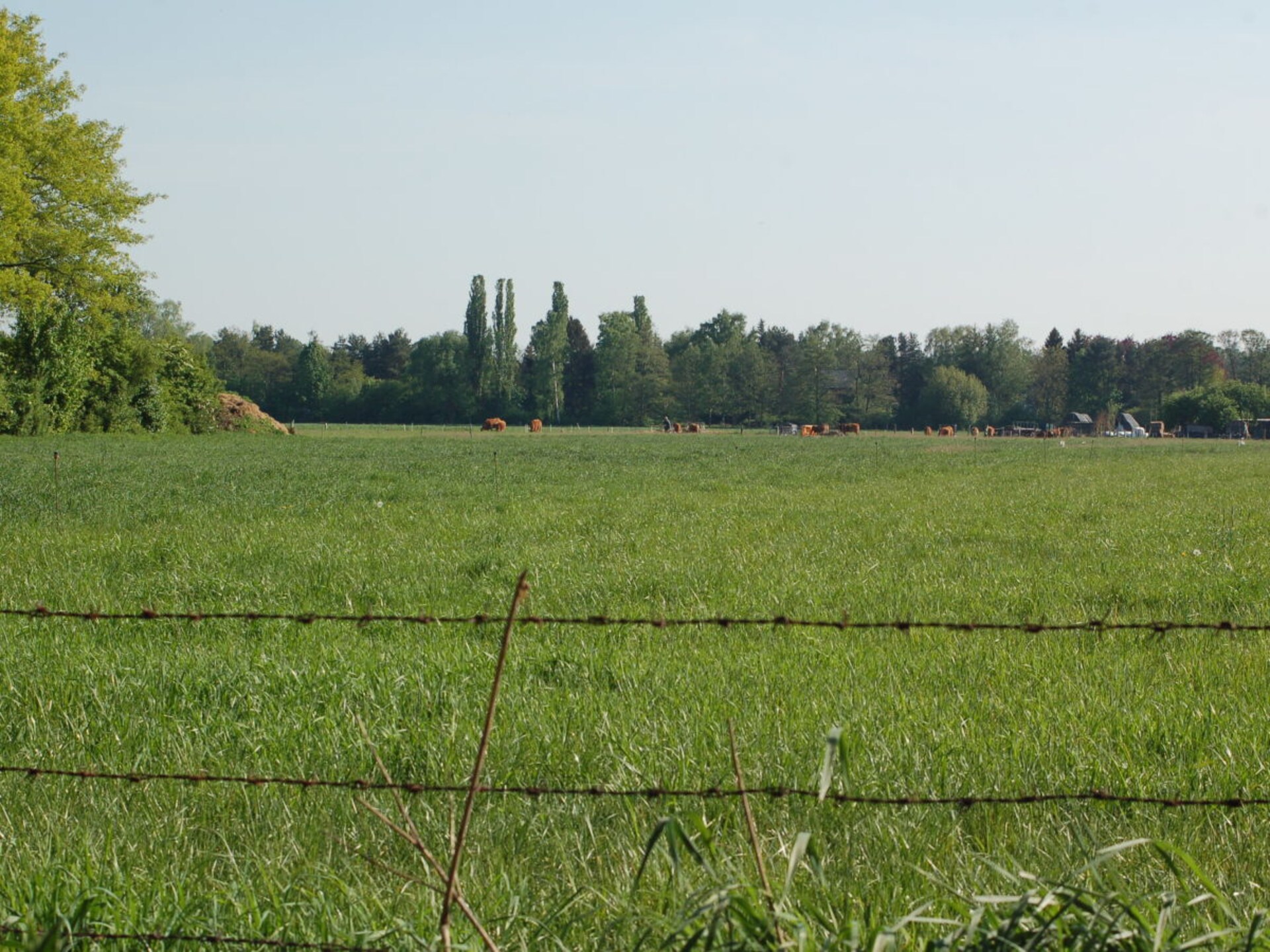 58395 - foto 22