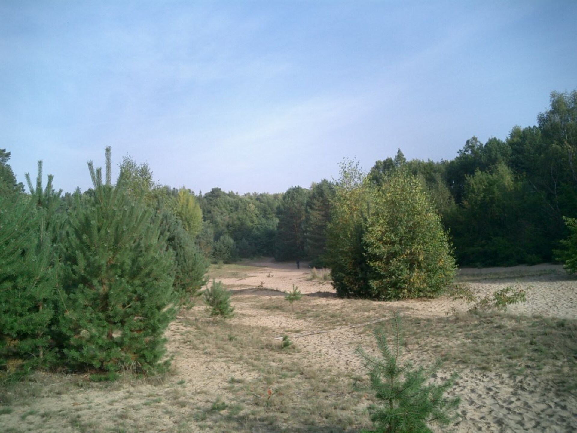 58395 - foto 24