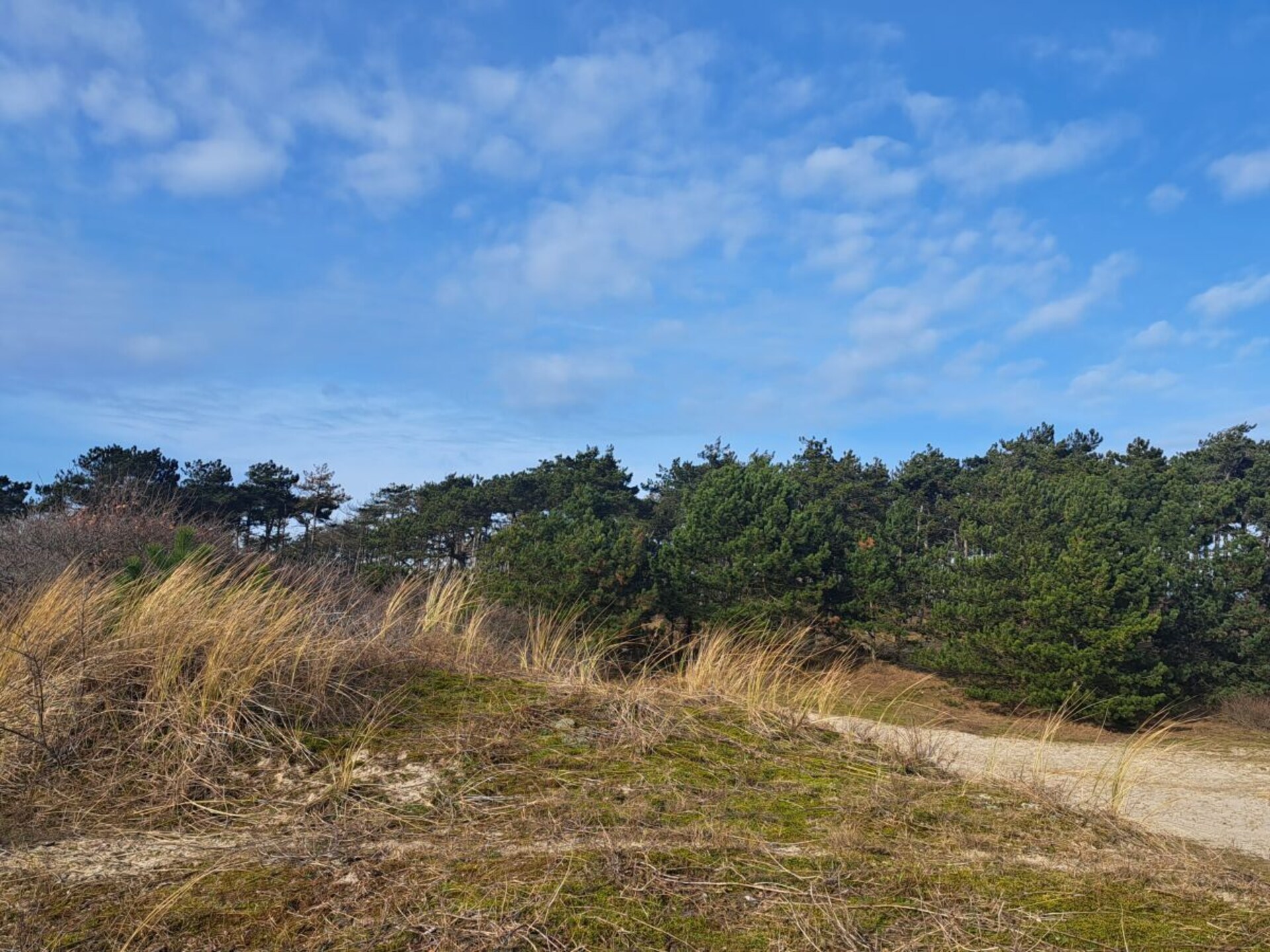 140019 - foto 39