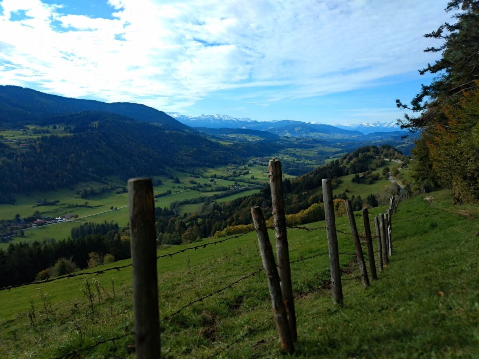 352982 - foto 20