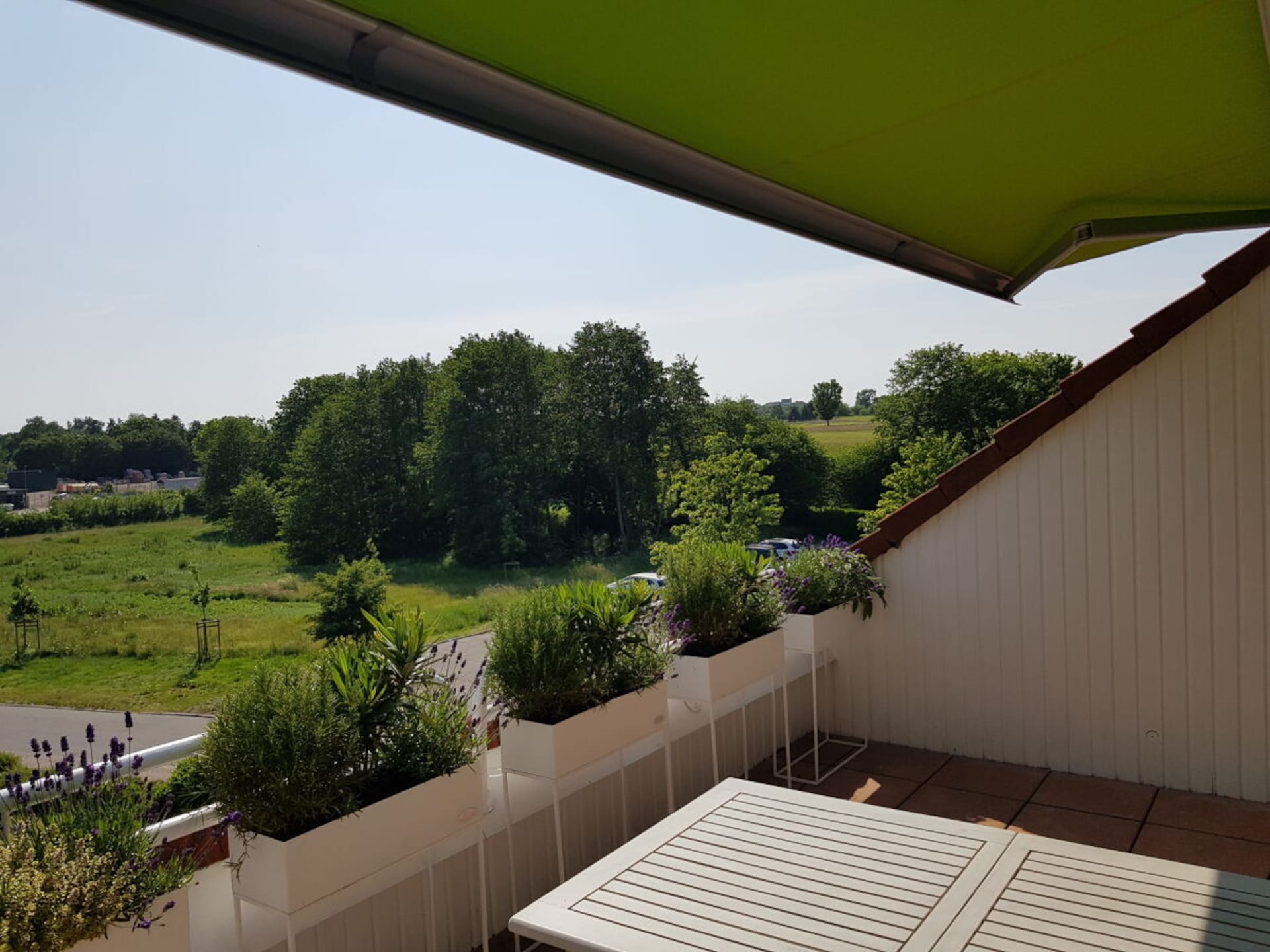 545360 - foto 2