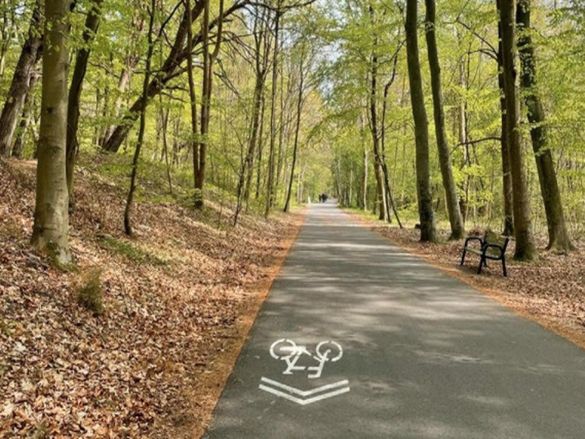 Op 1,3 km van zee: Comfortabel vakantiehuis in Mielno - foto 35