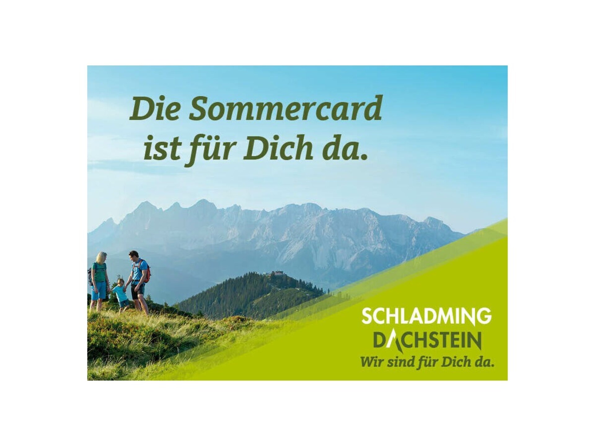 15226 - foto 41