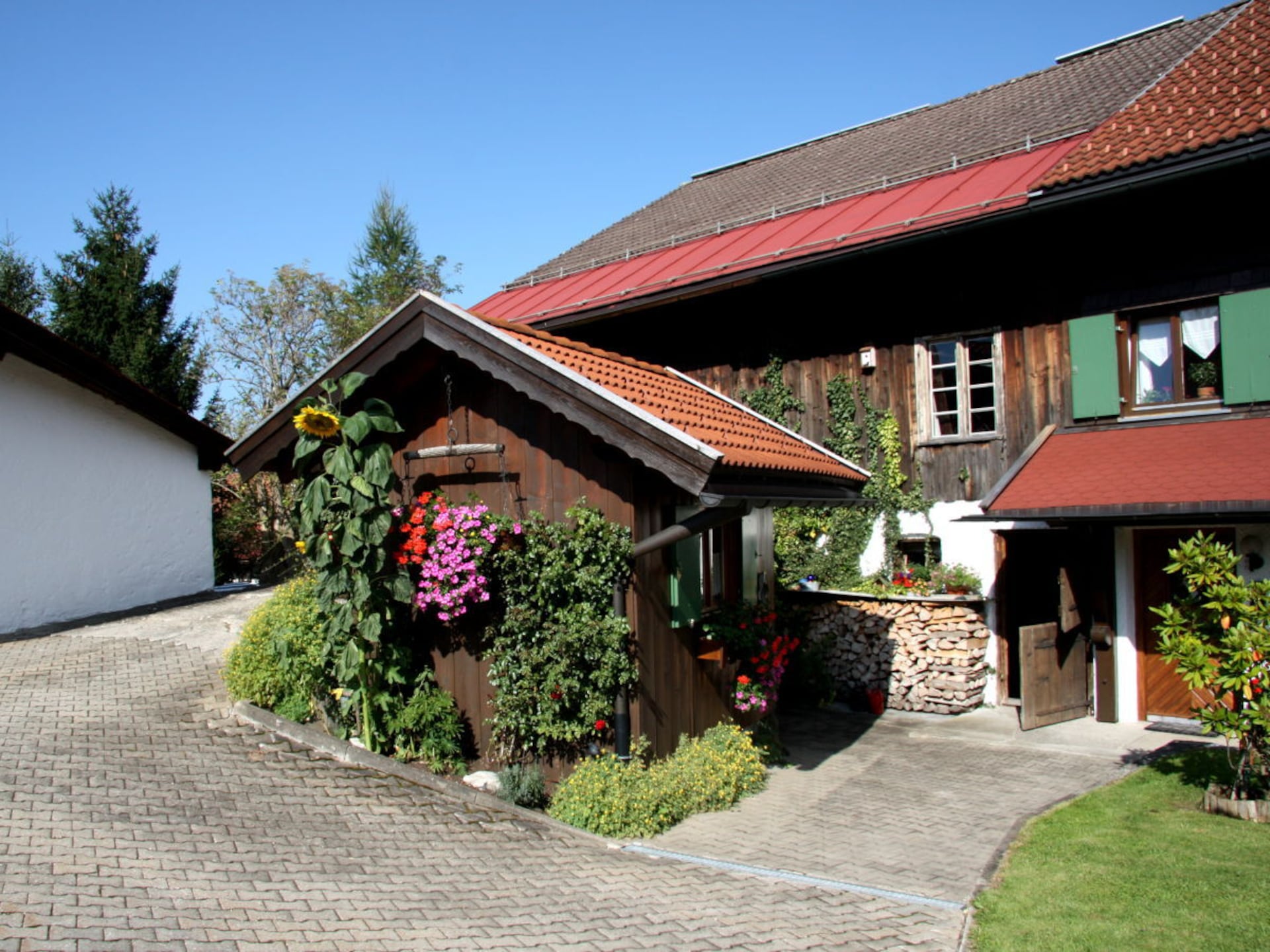 137166 - foto 4