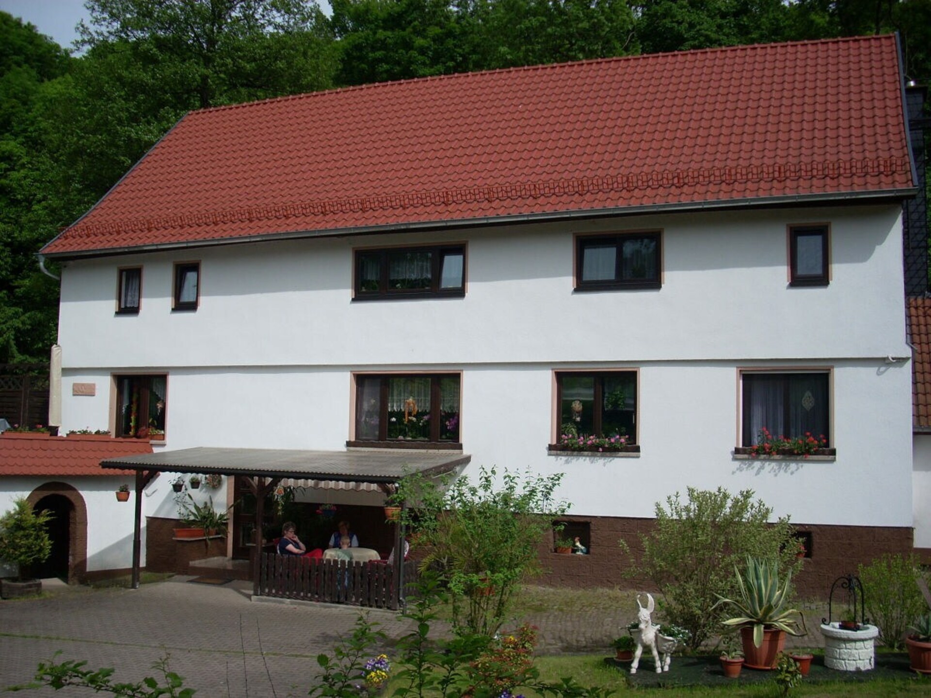 37481 - foto 2