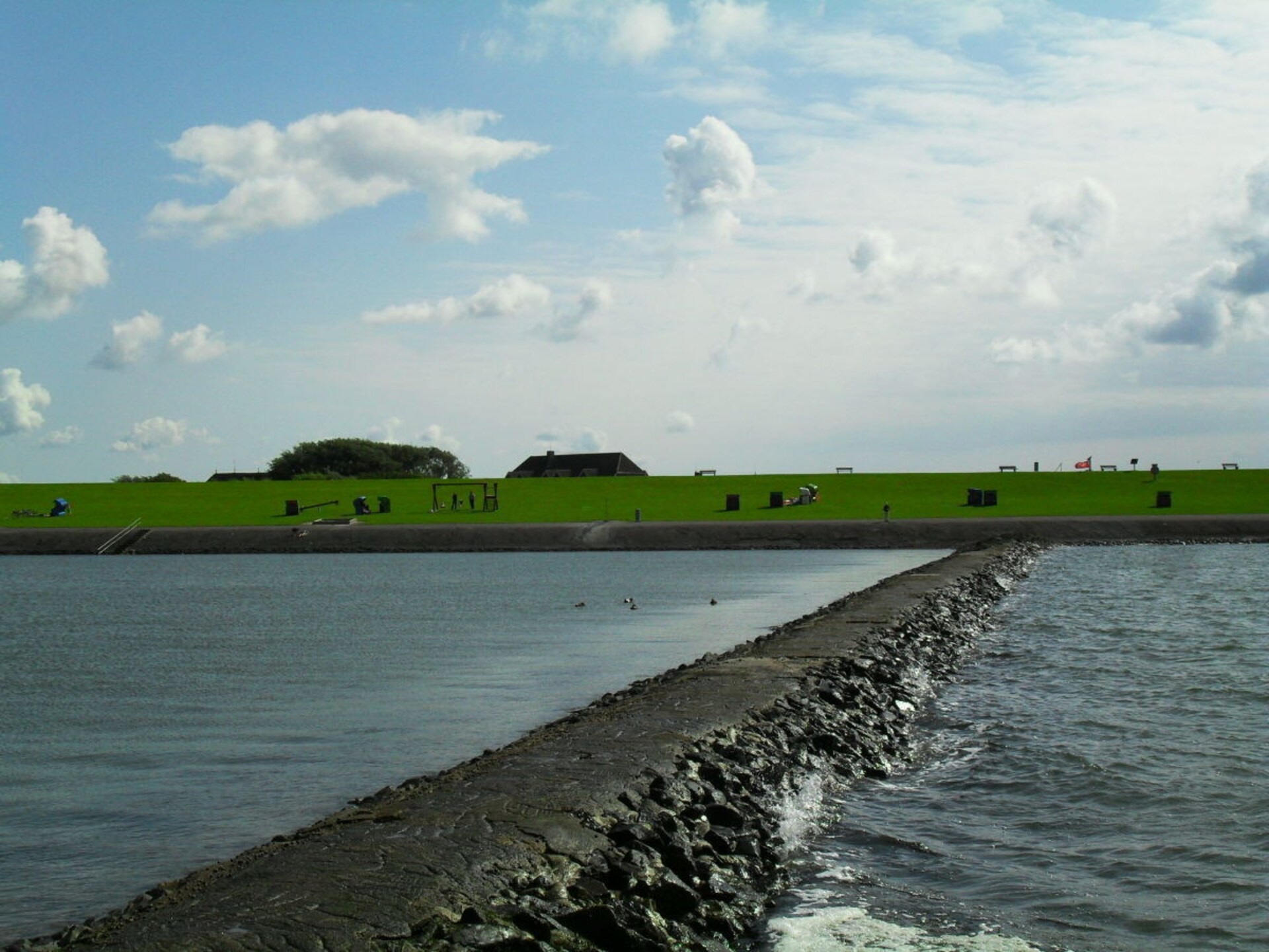 113323 - foto 16