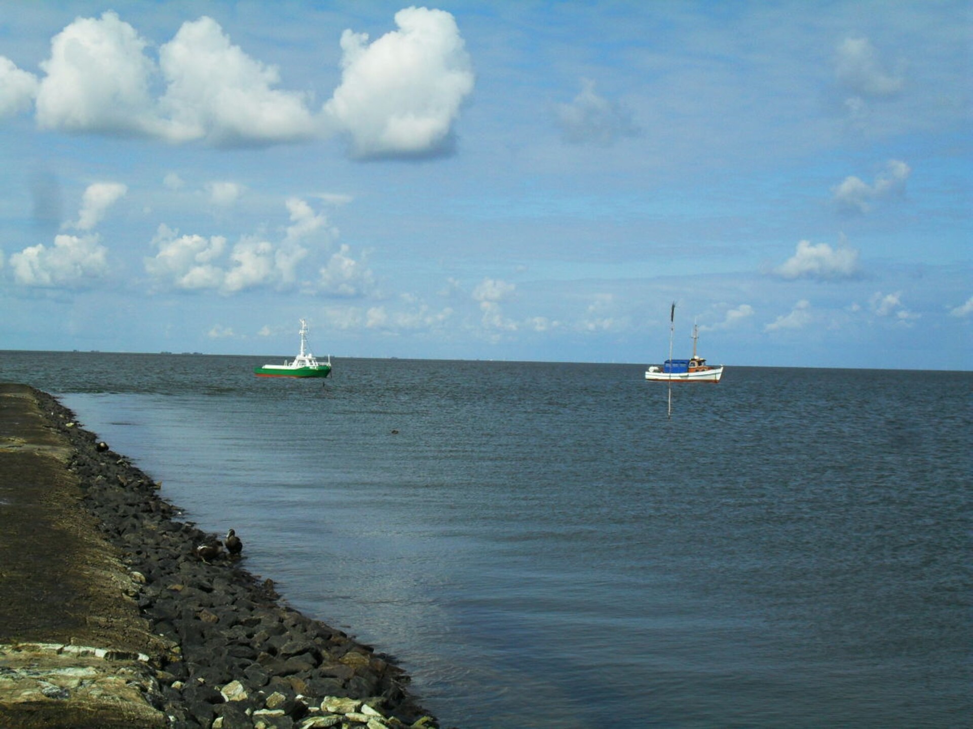 113323 - foto 17