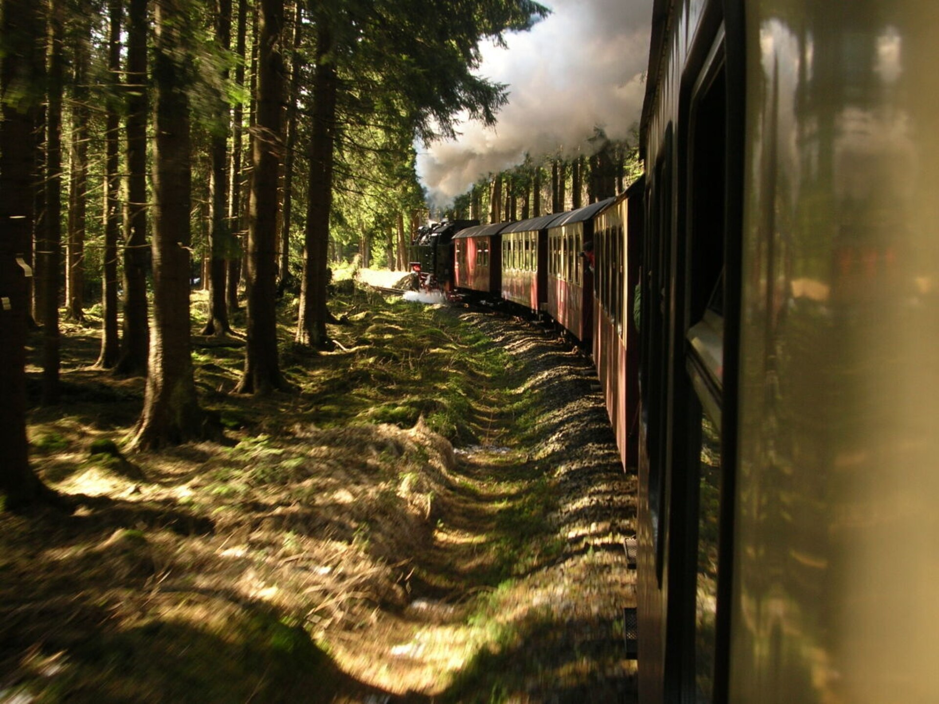 475853 - foto 36