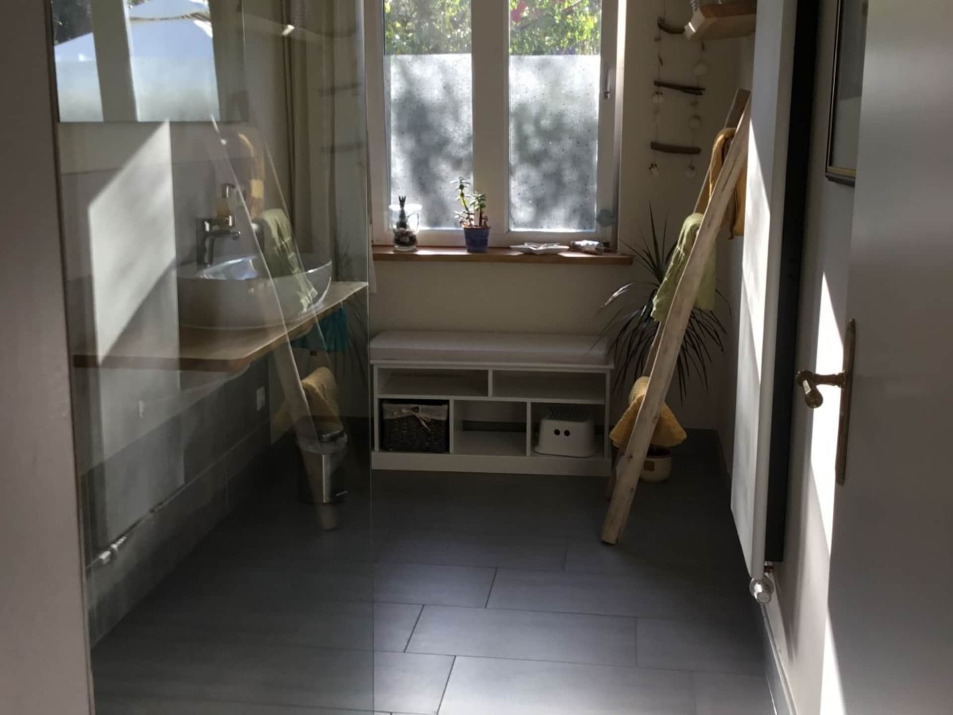 43432 - foto 12