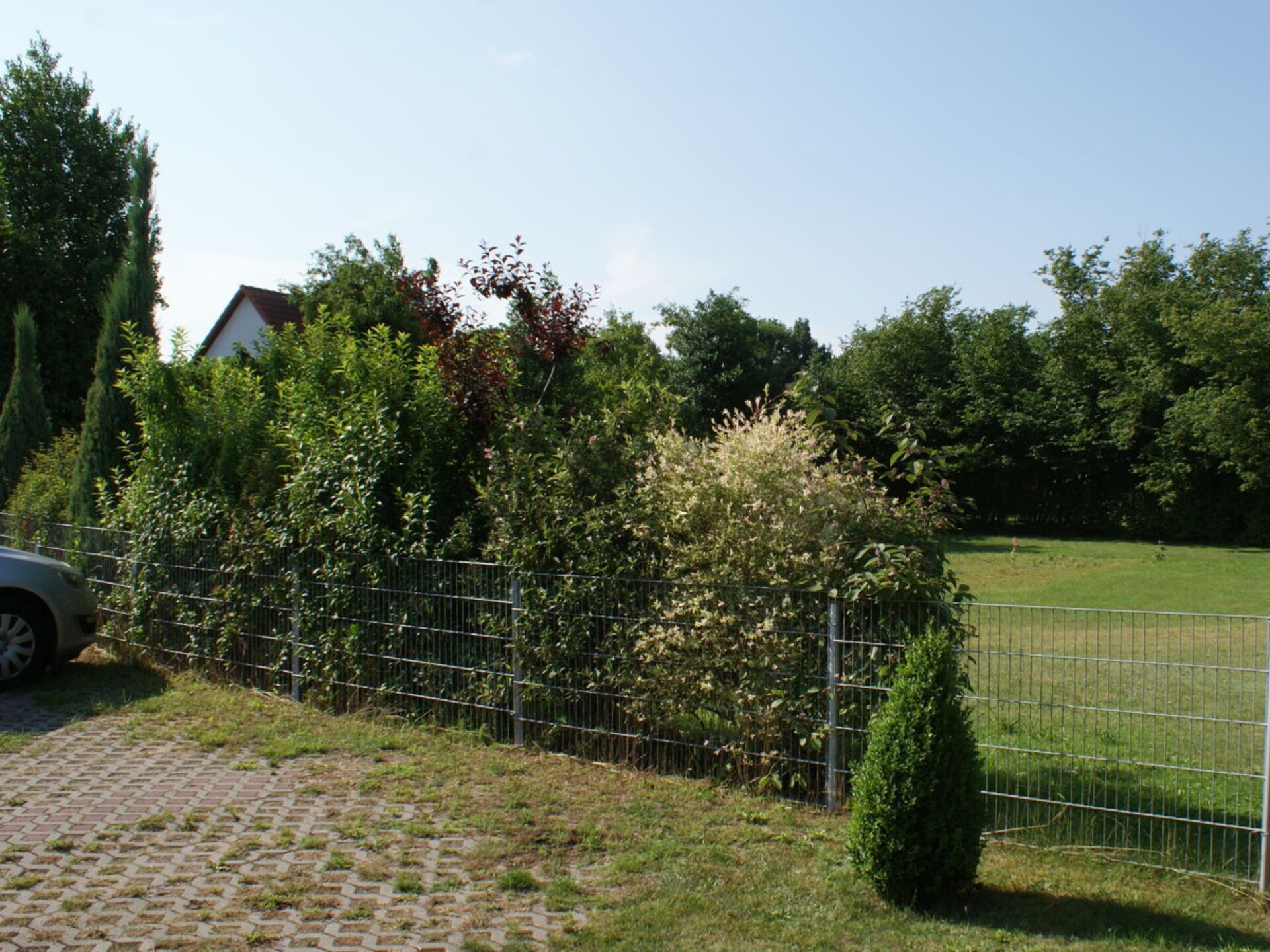546185 - foto 3