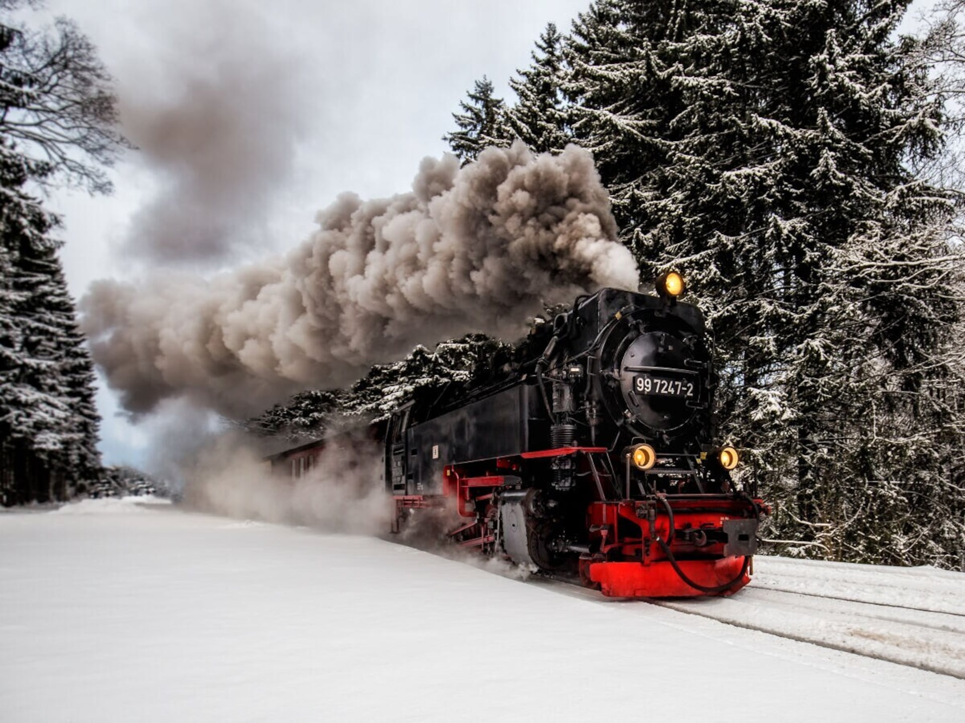 318816 - foto 35