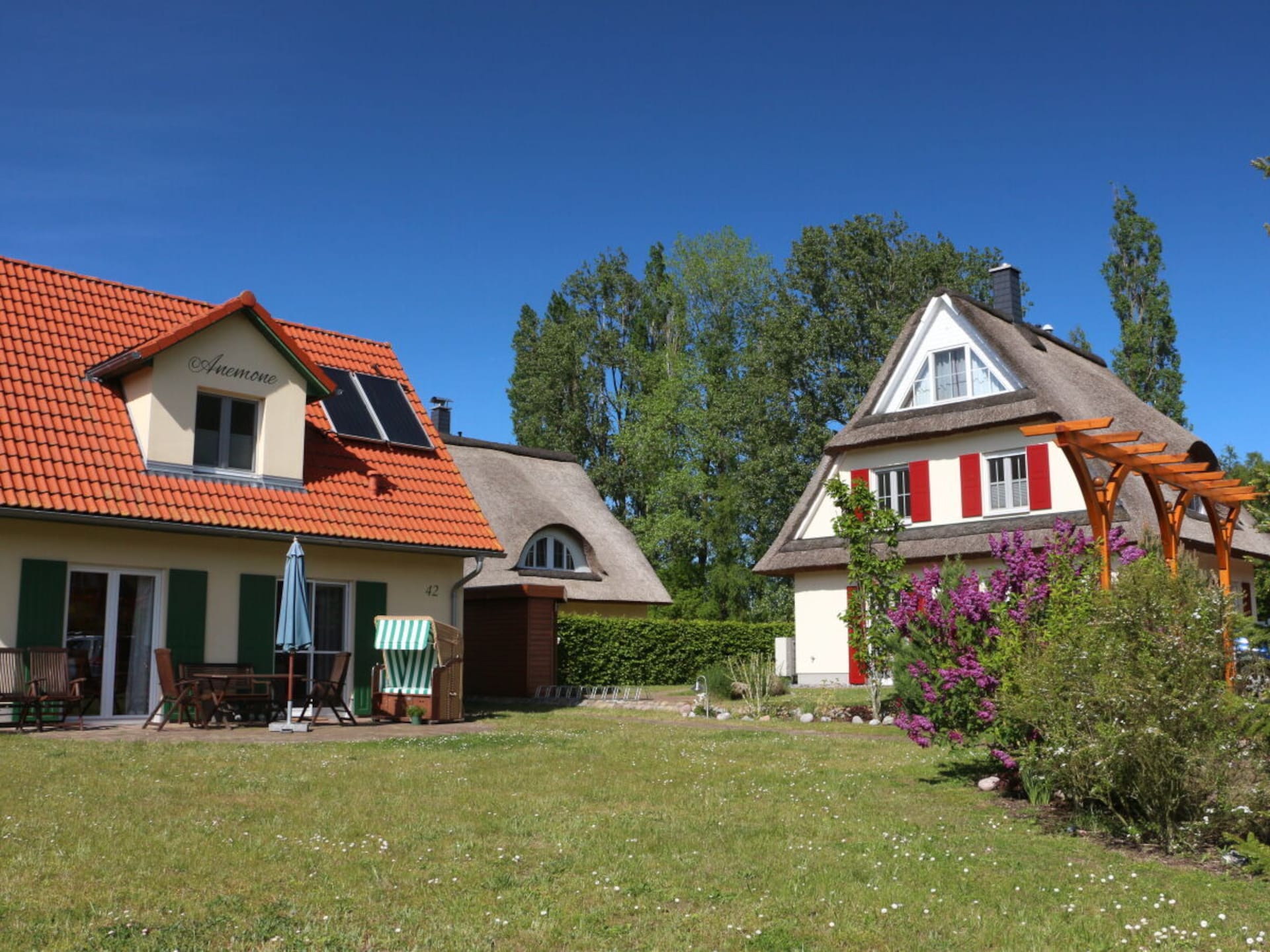 119534 - foto 2
