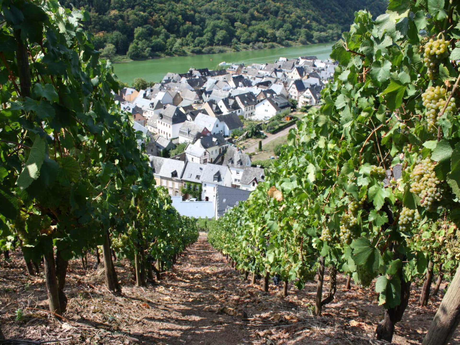 18238 - foto 28