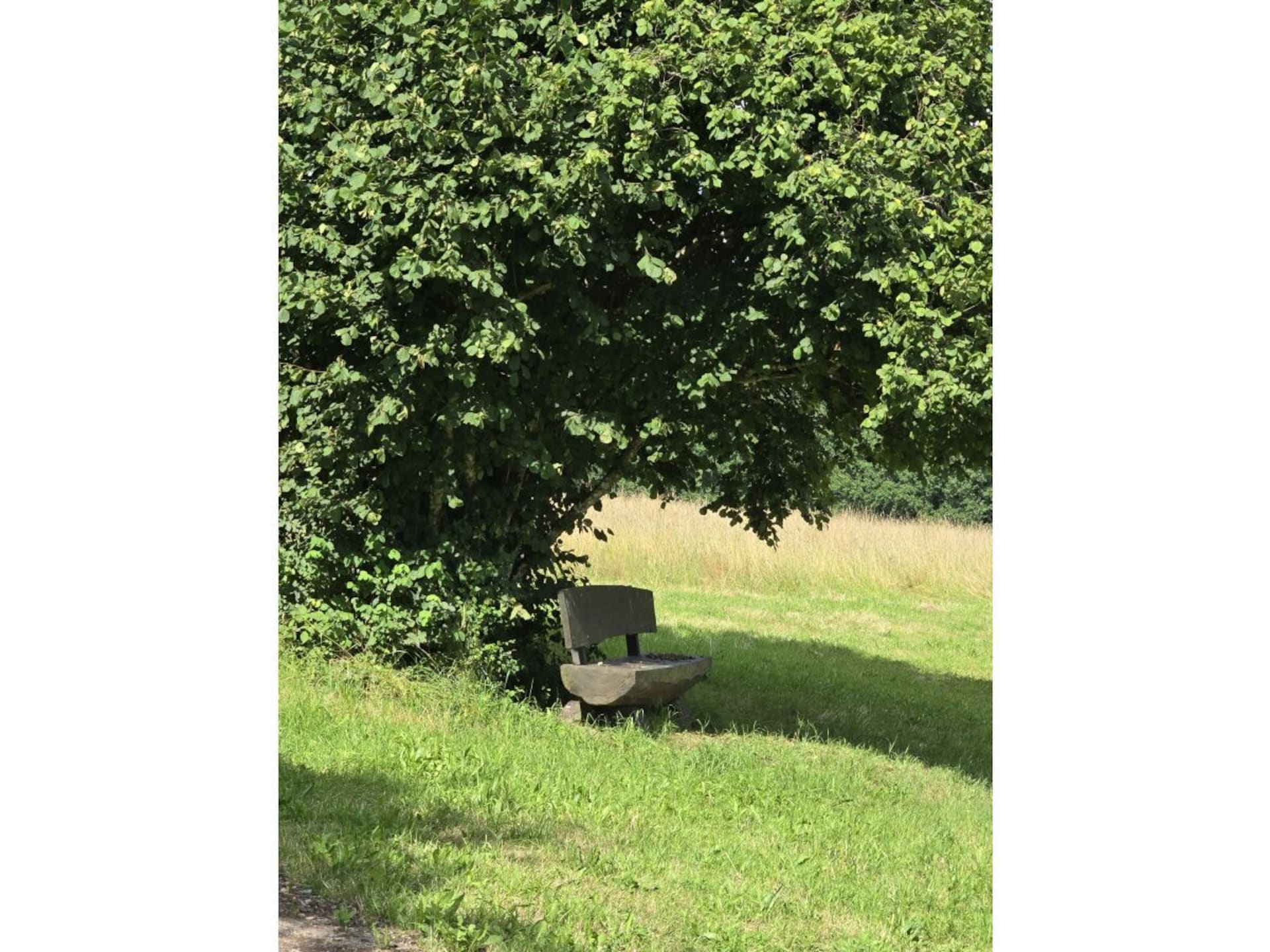 18238 - foto 35