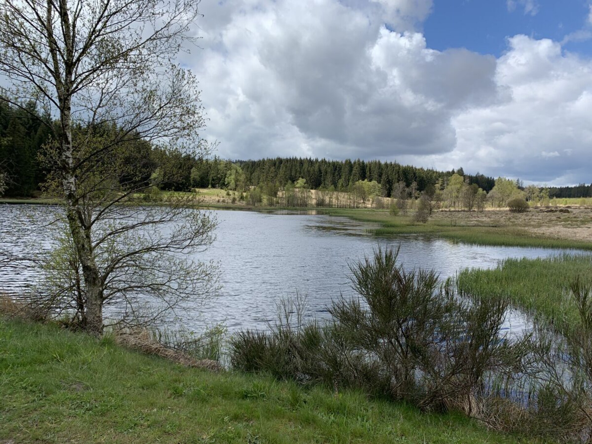 Op loopafstand van het centrum: 5-persoons vakantiehuis in Bütgenbach - foto 23