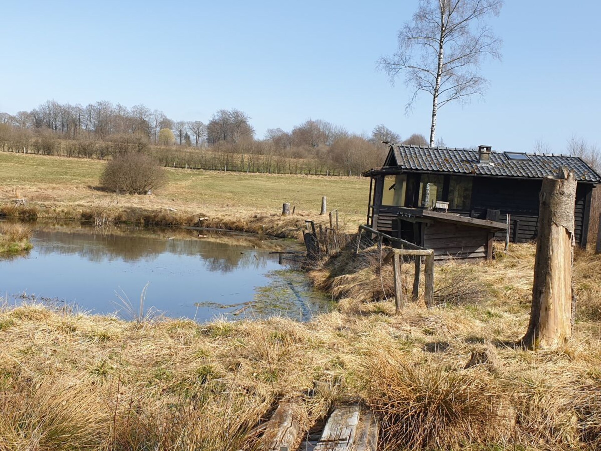 Op loopafstand van het centrum: 5-persoons vakantiehuis in Bütgenbach - foto 27