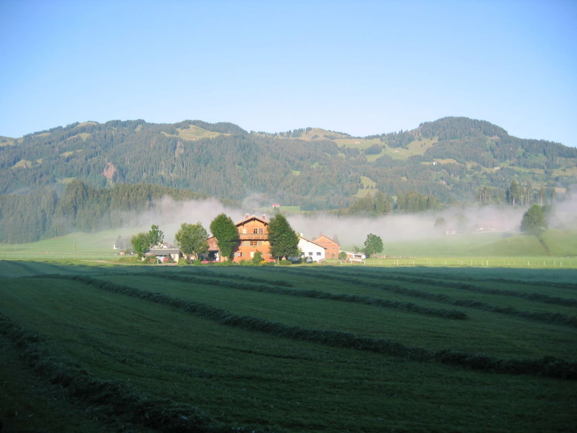88895 - foto 30