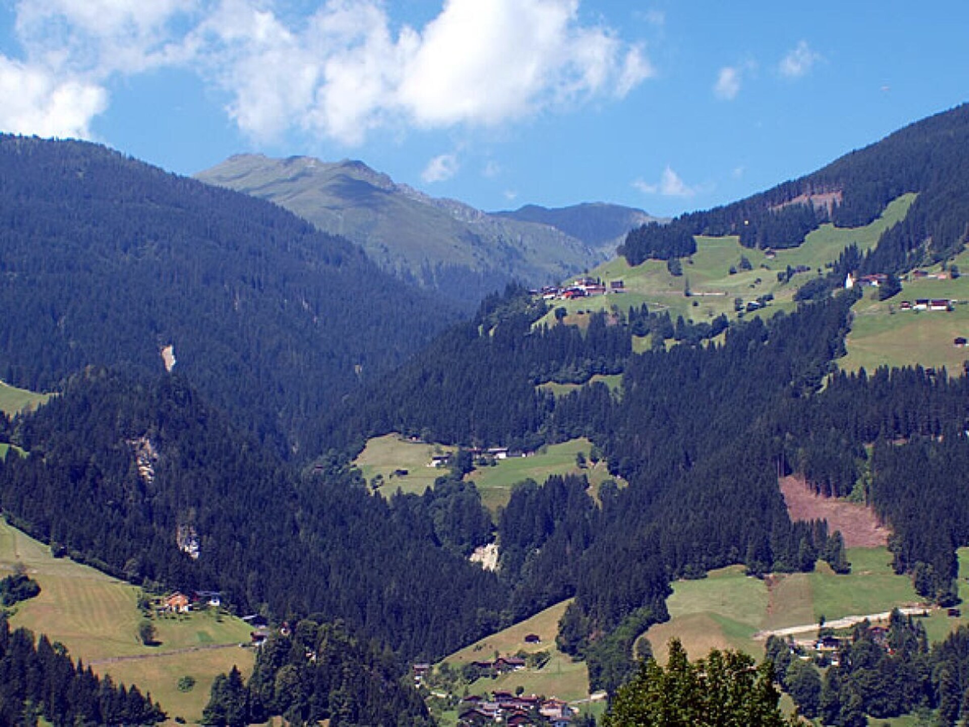 69081 - foto 14