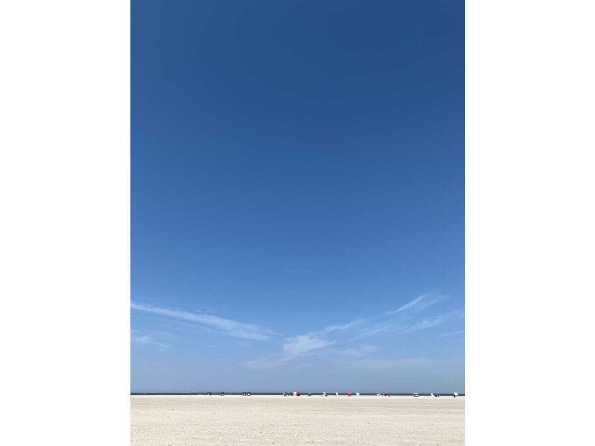 310056 - foto 14
