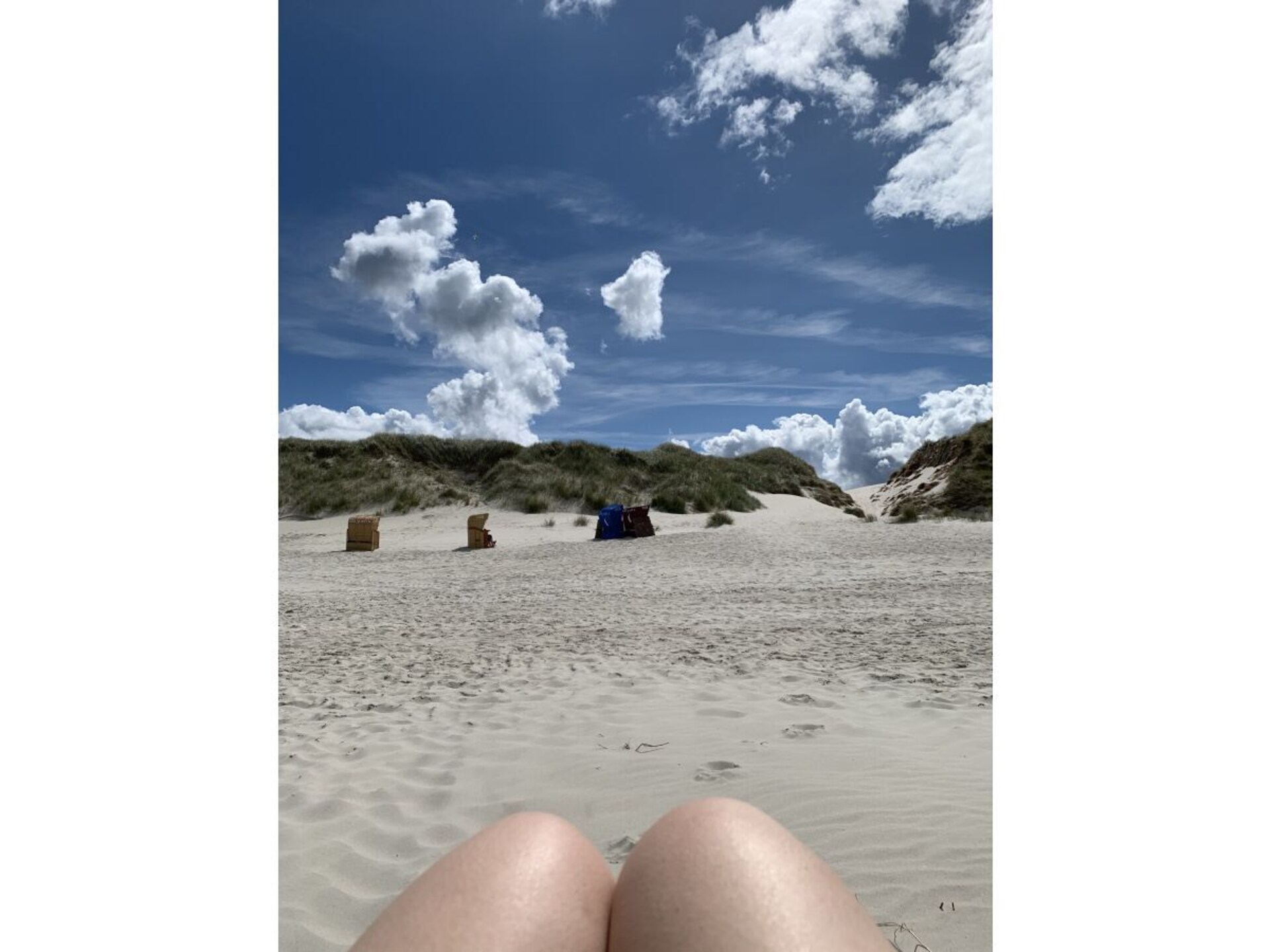 310056 - foto 15