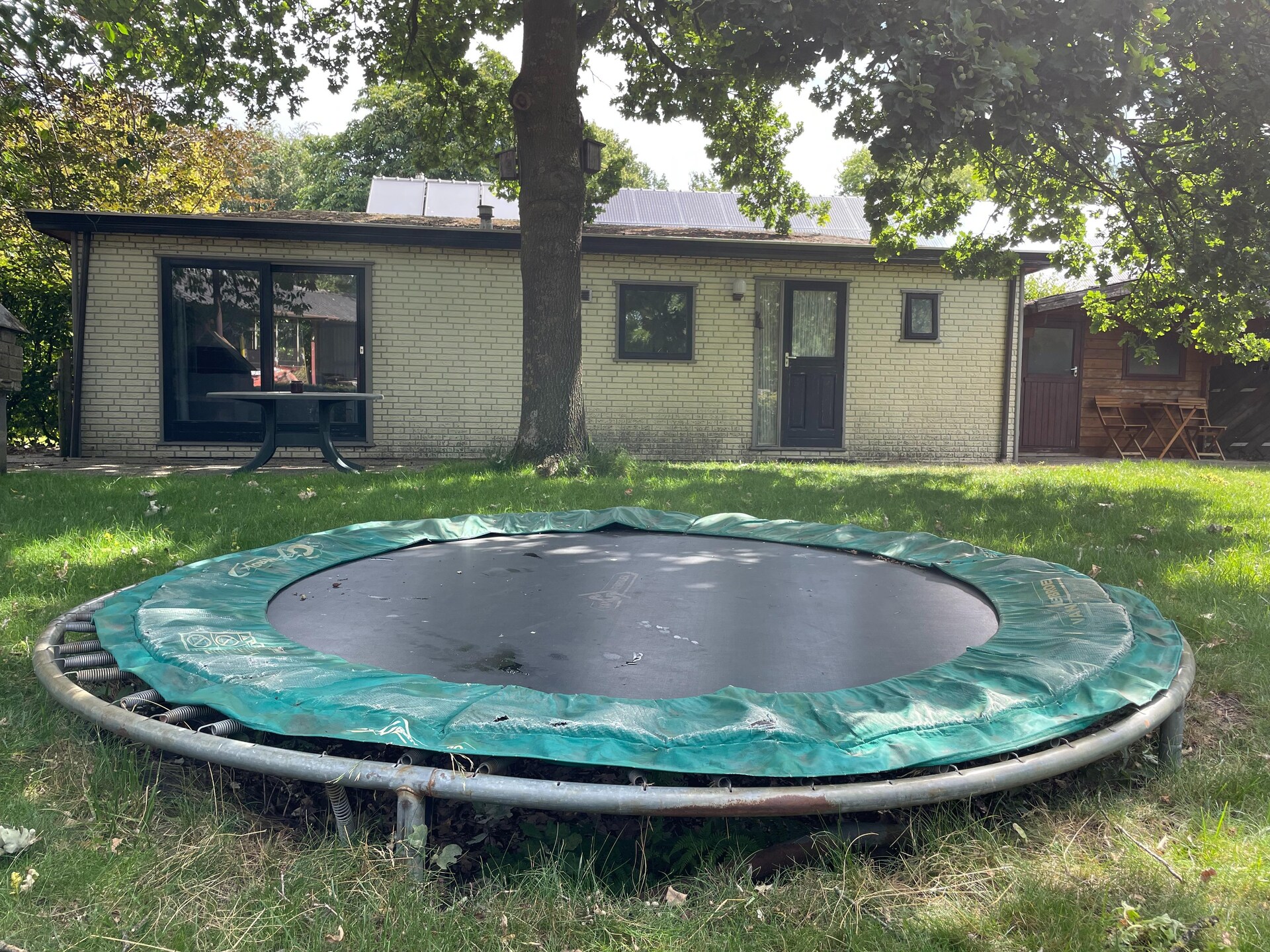 Sfeervol chalet Zonnedauw: bosrijk genieten in Uden voor 4 personen - foto 19