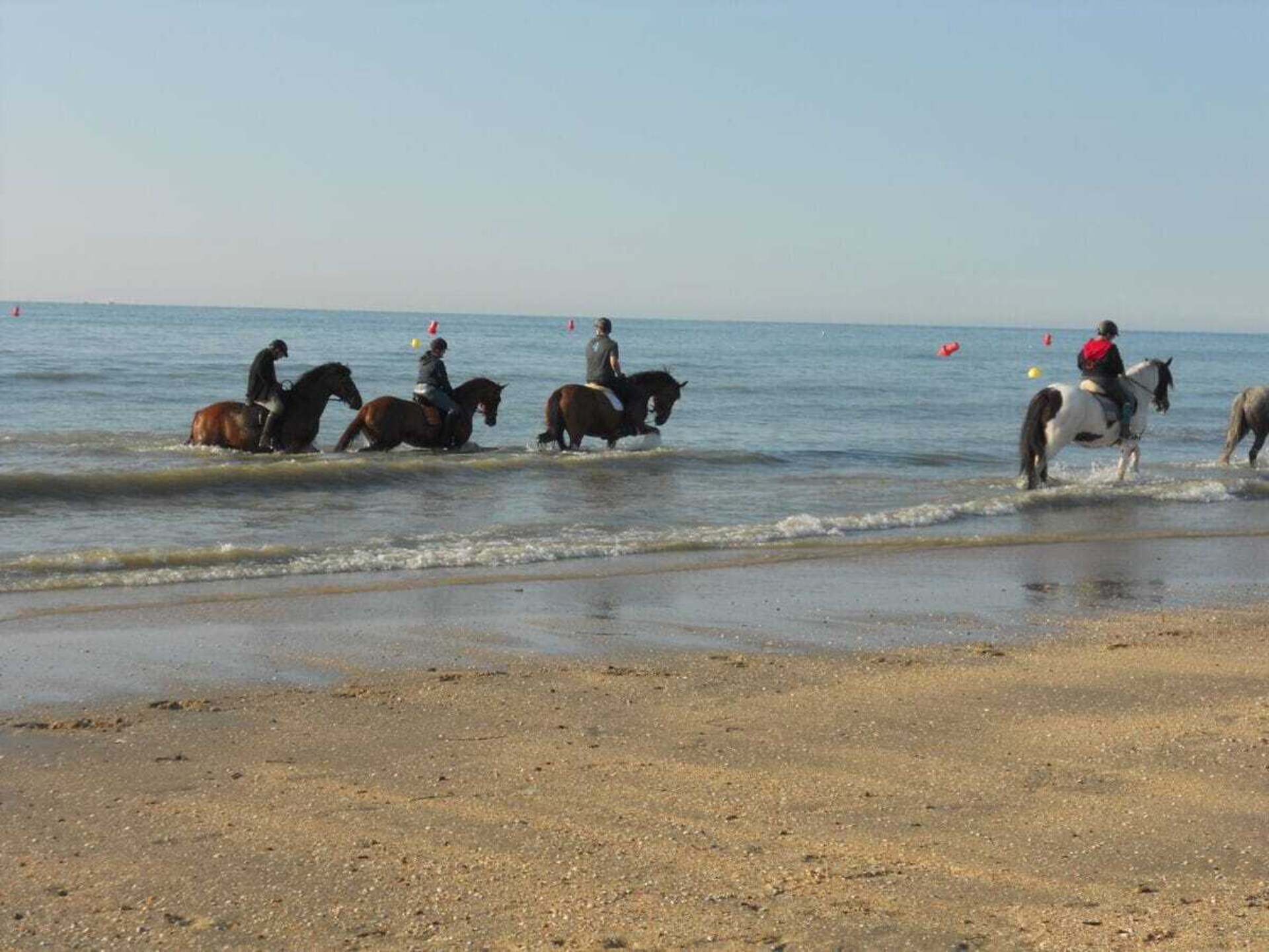 Ruim 6-persoons vakantiehuis met open haard in Adinkerke - foto 25