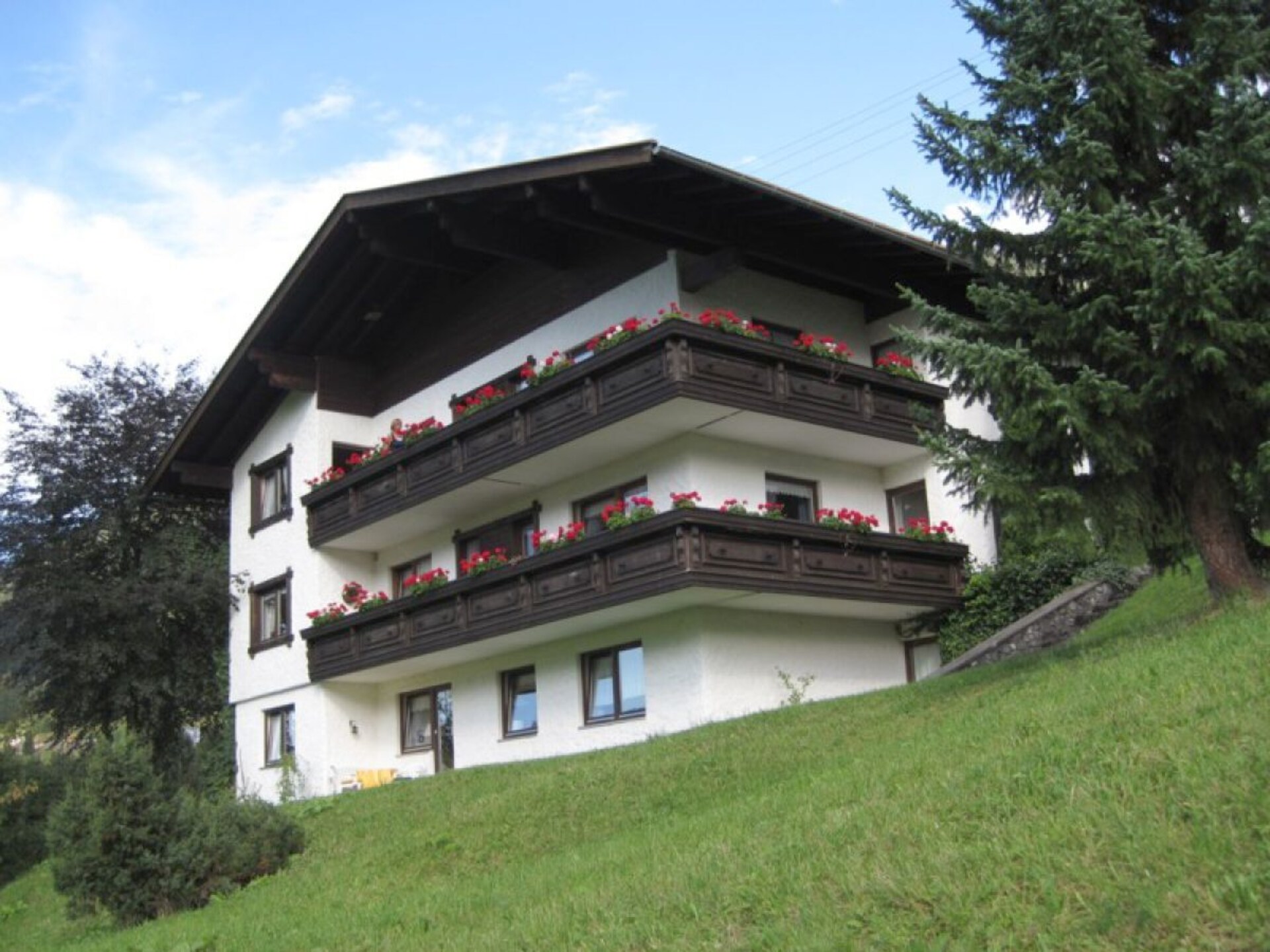 48412 - foto 4