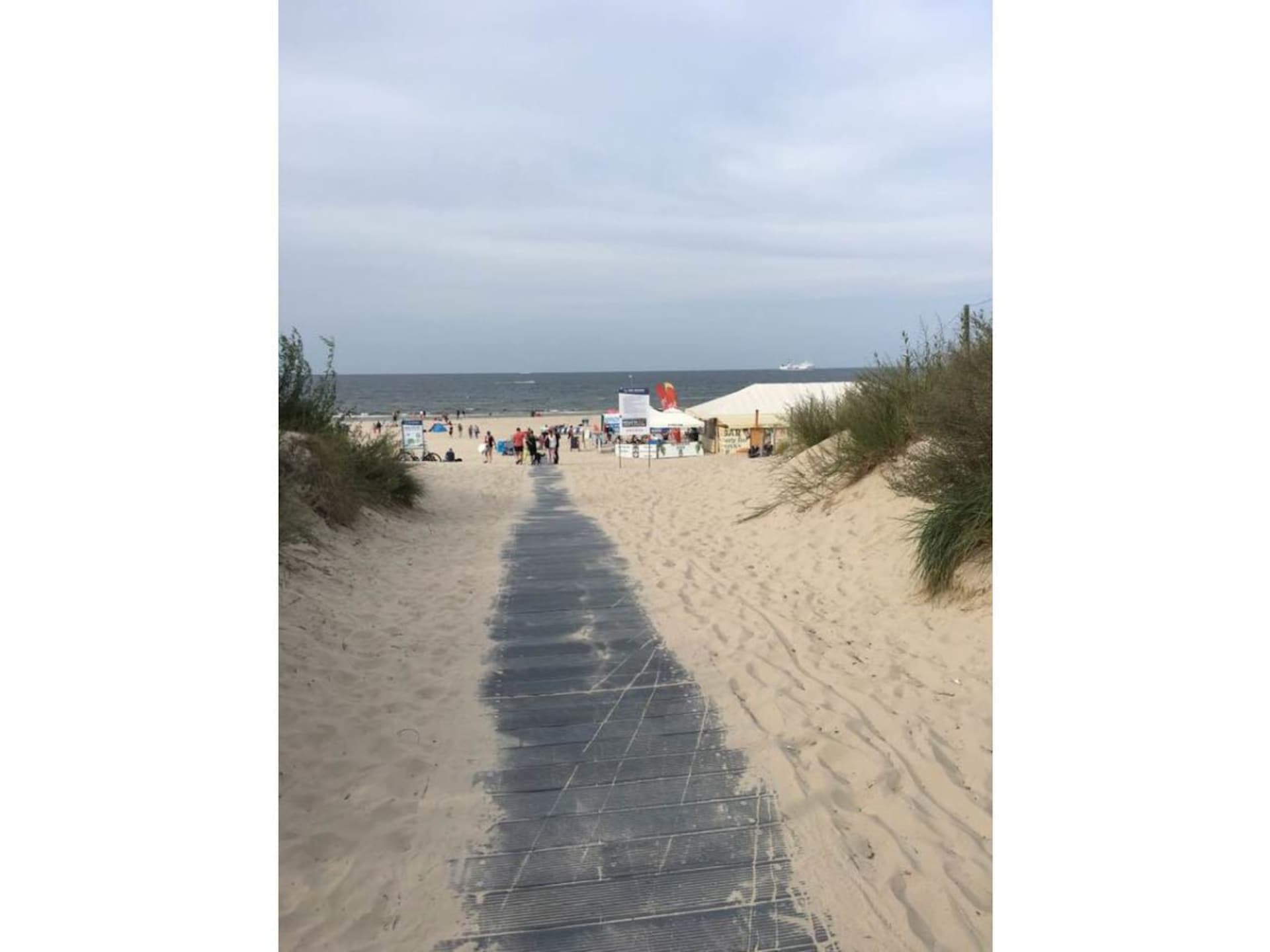 38462 - foto 2