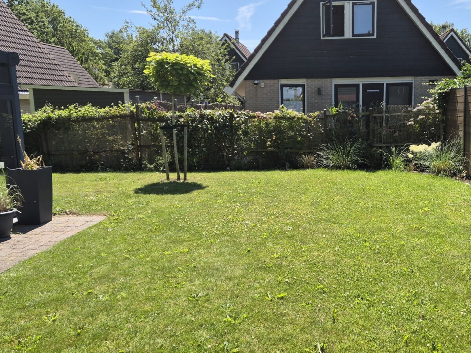 636470 - foto 3