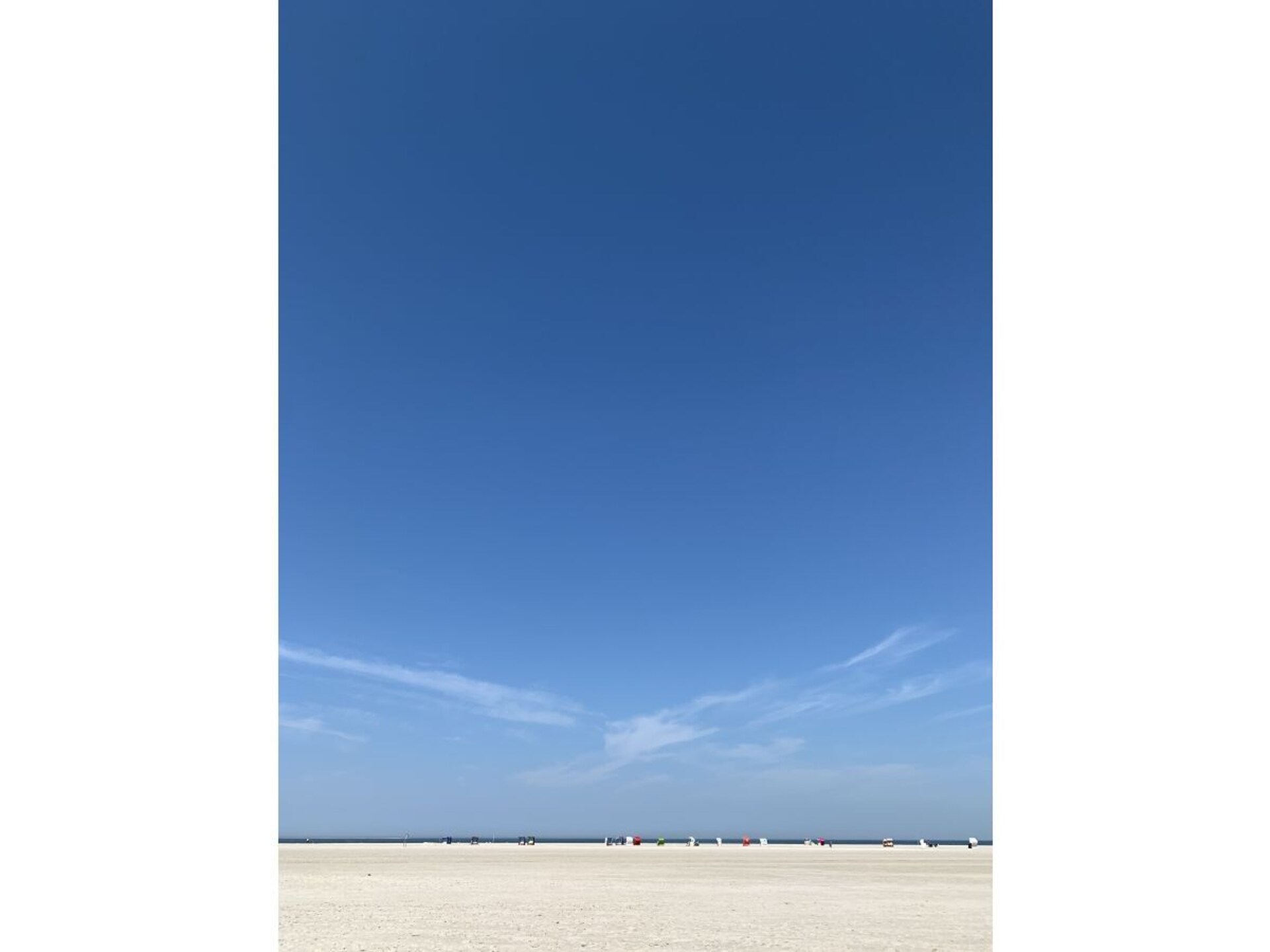 310055 - foto 20