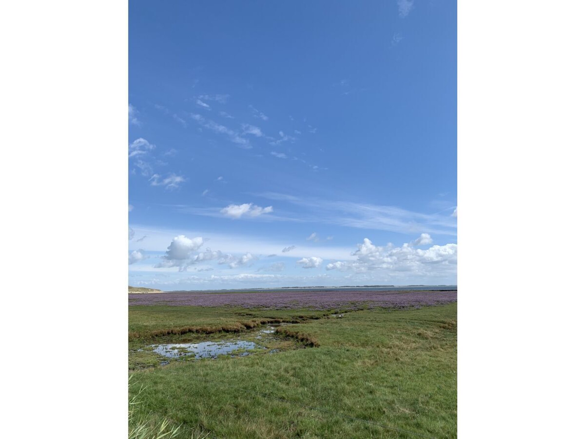 310055 - foto 21