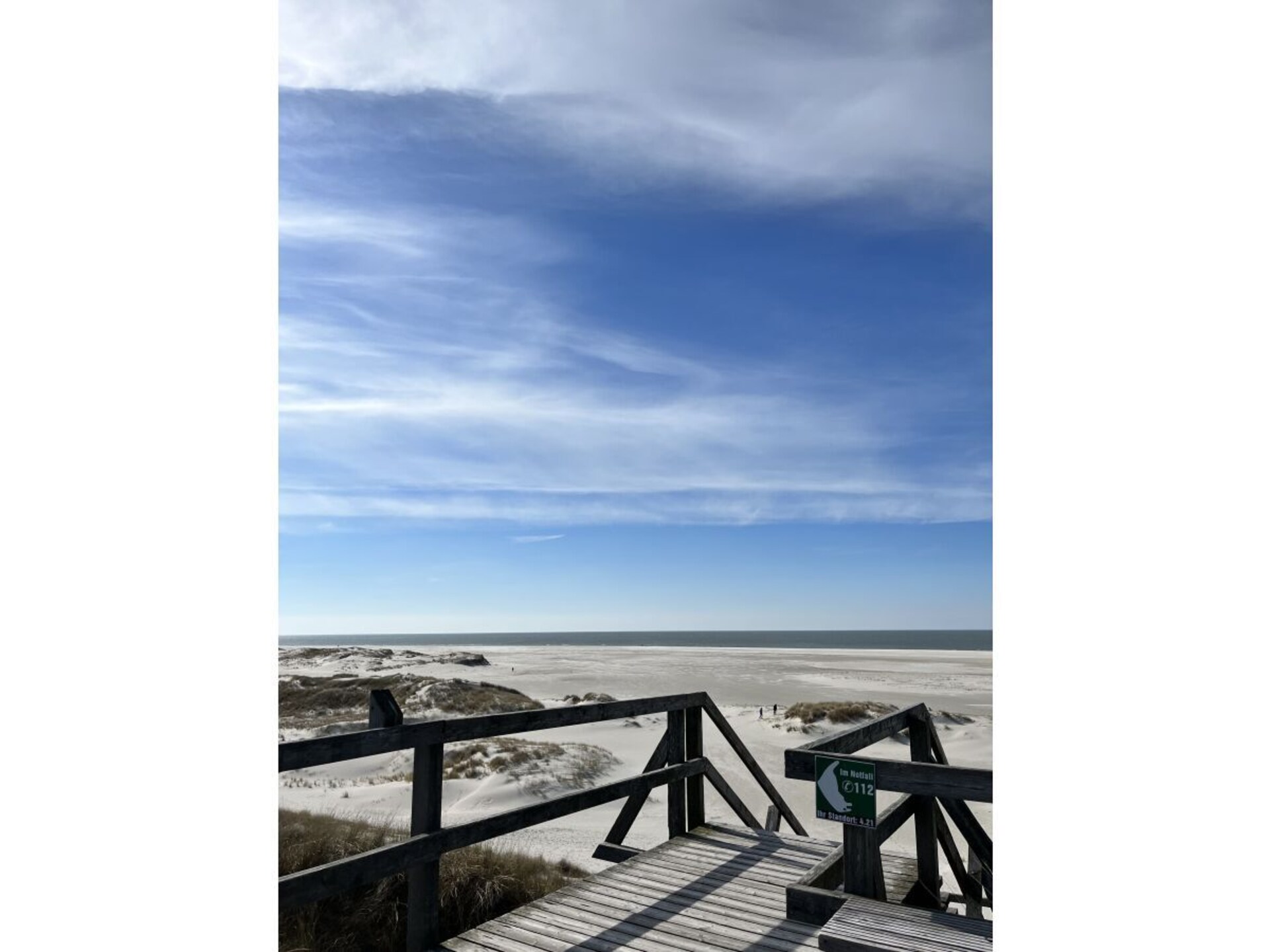 310055 - foto 23