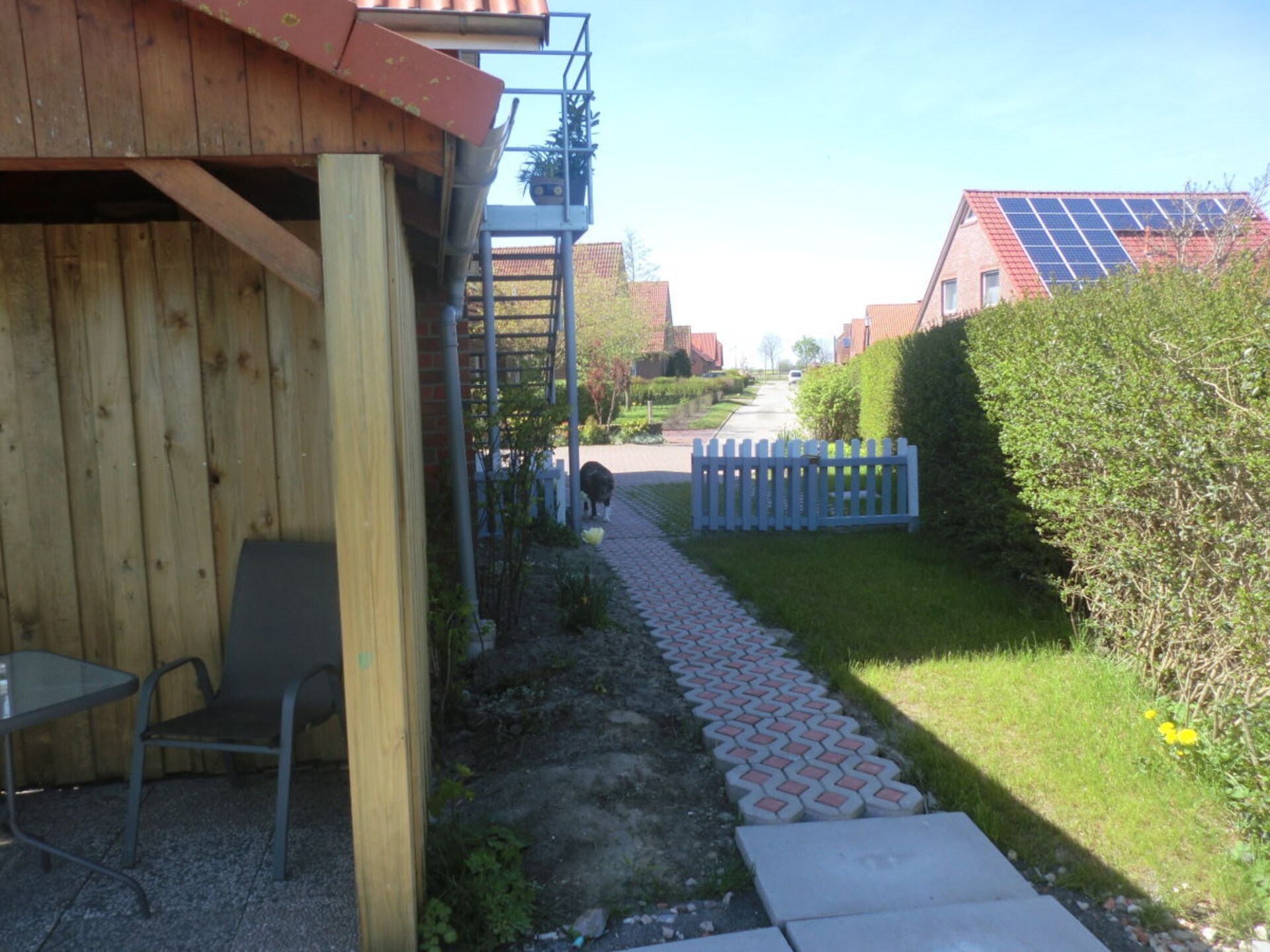 117948 - foto 5