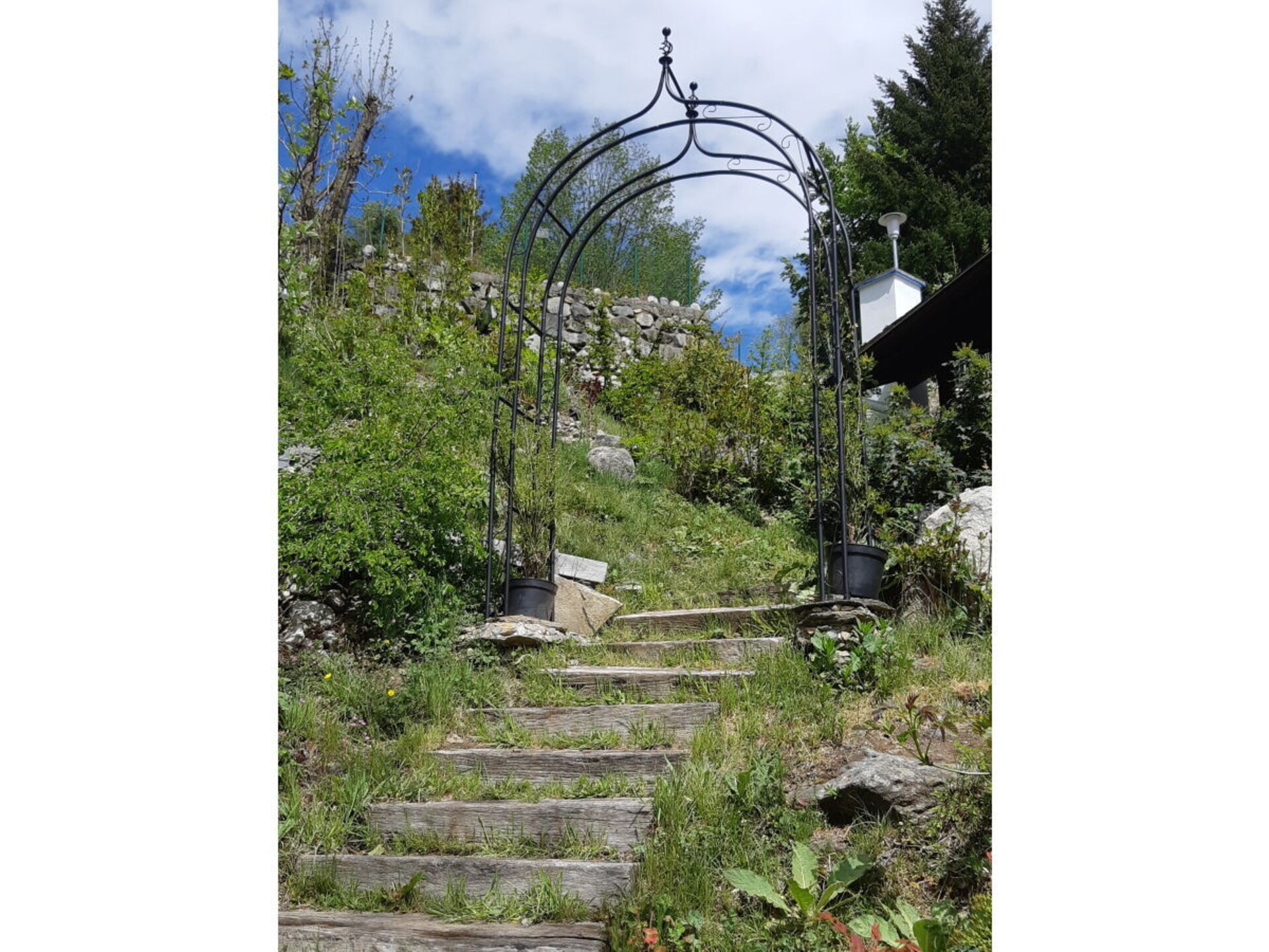 278843 - foto 4