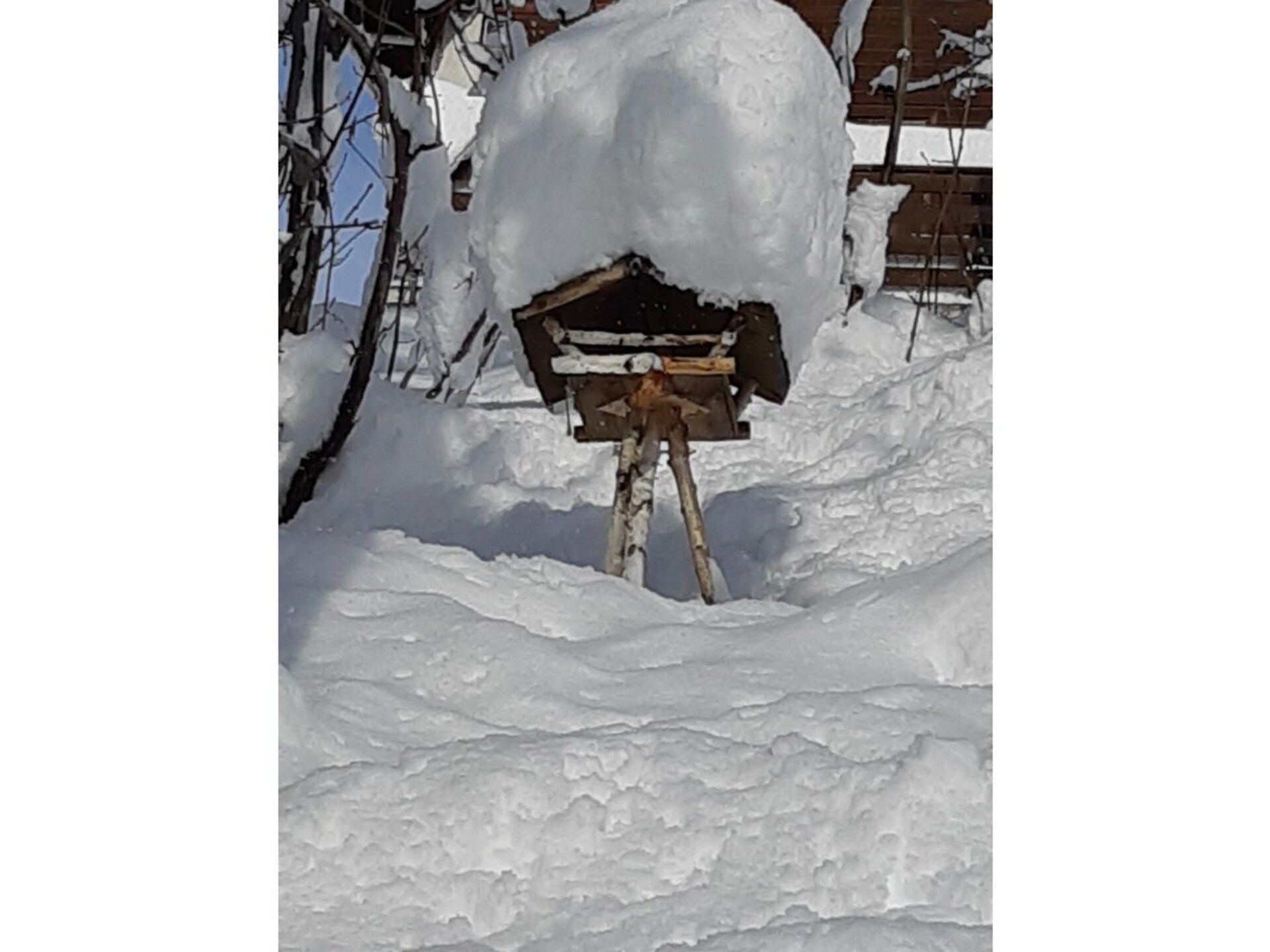 278843 - foto 17