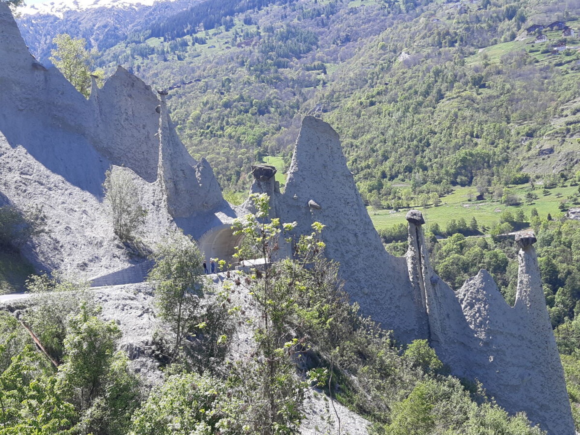 278843 - foto 32