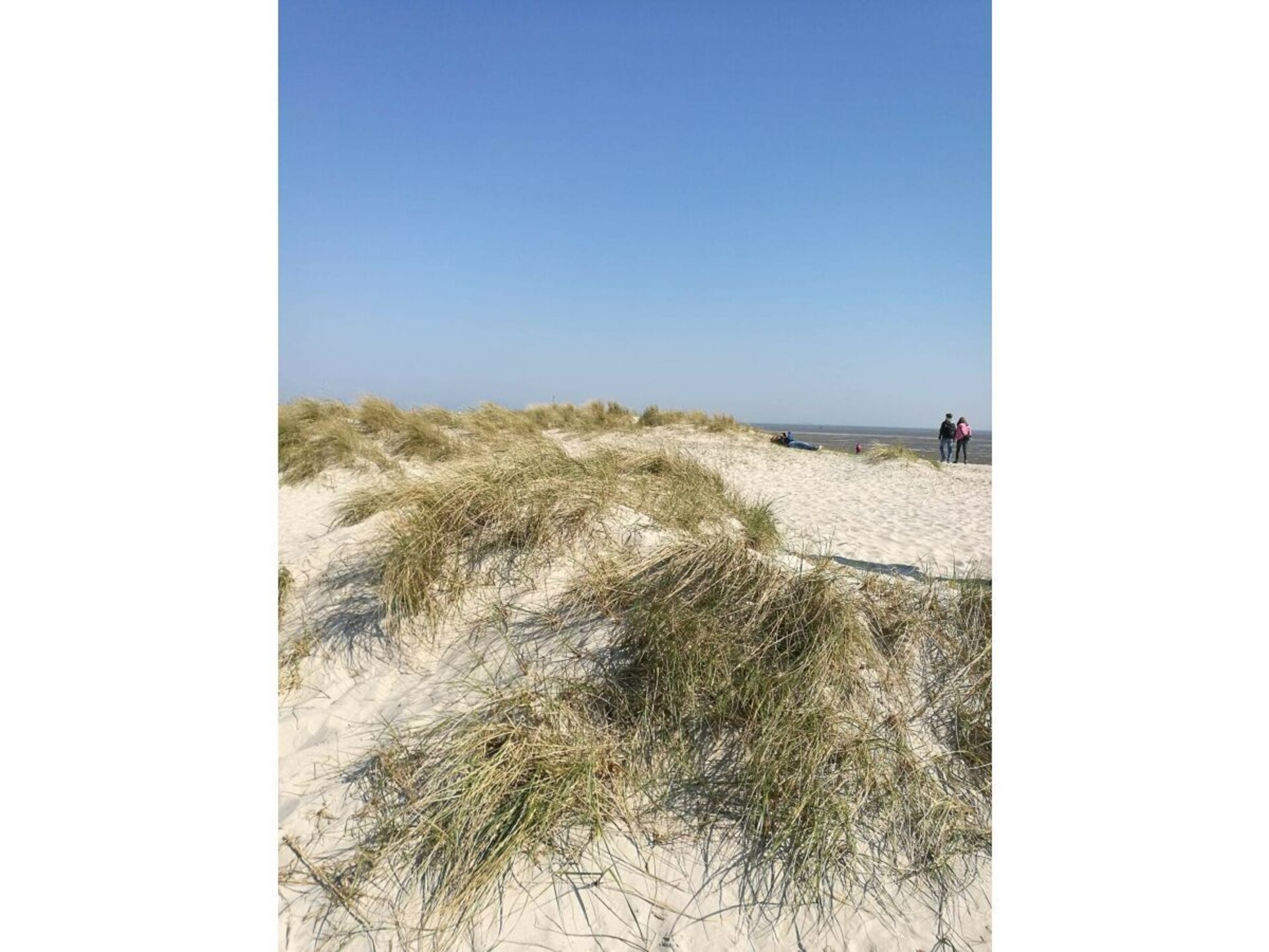 279787 - foto 20