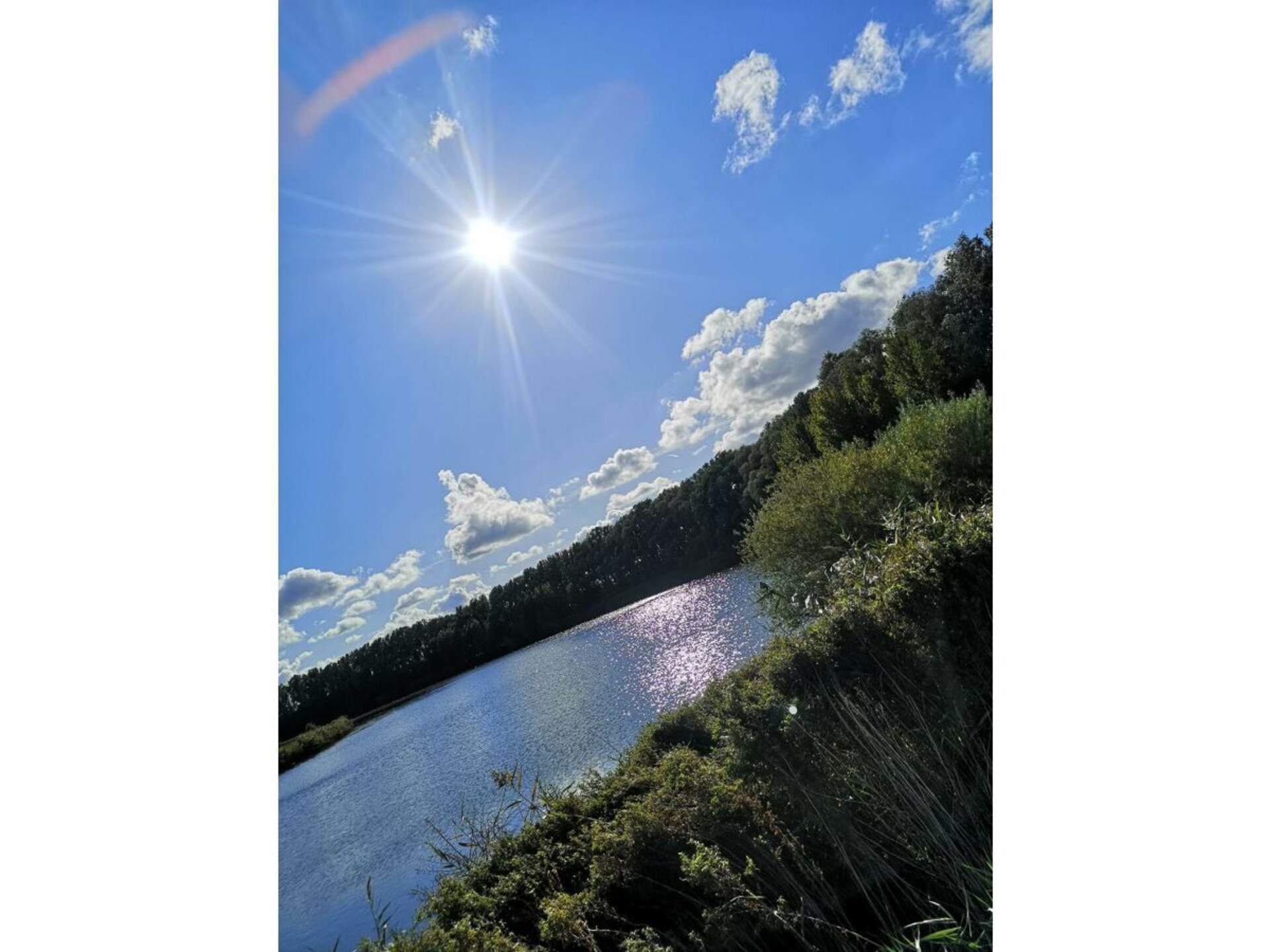 279787 - foto 26