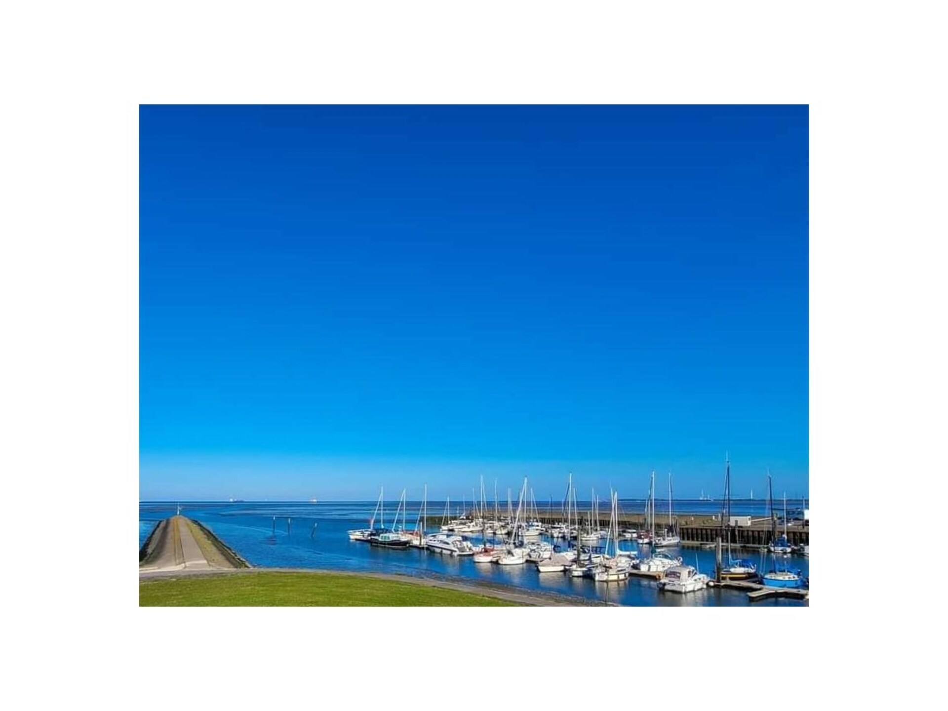 279787 - foto 30