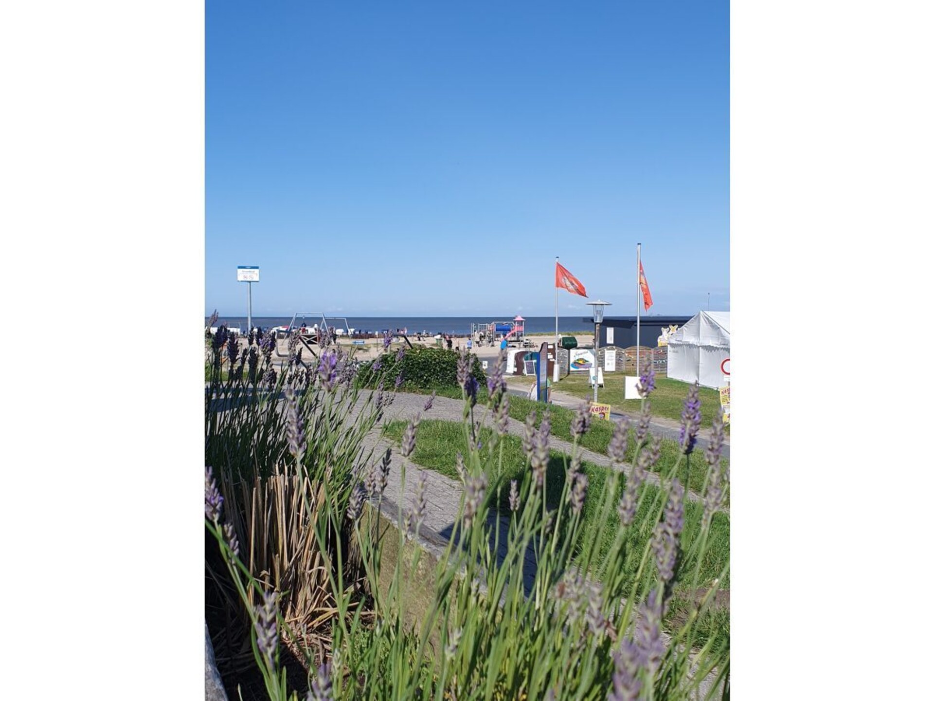 279787 - foto 31