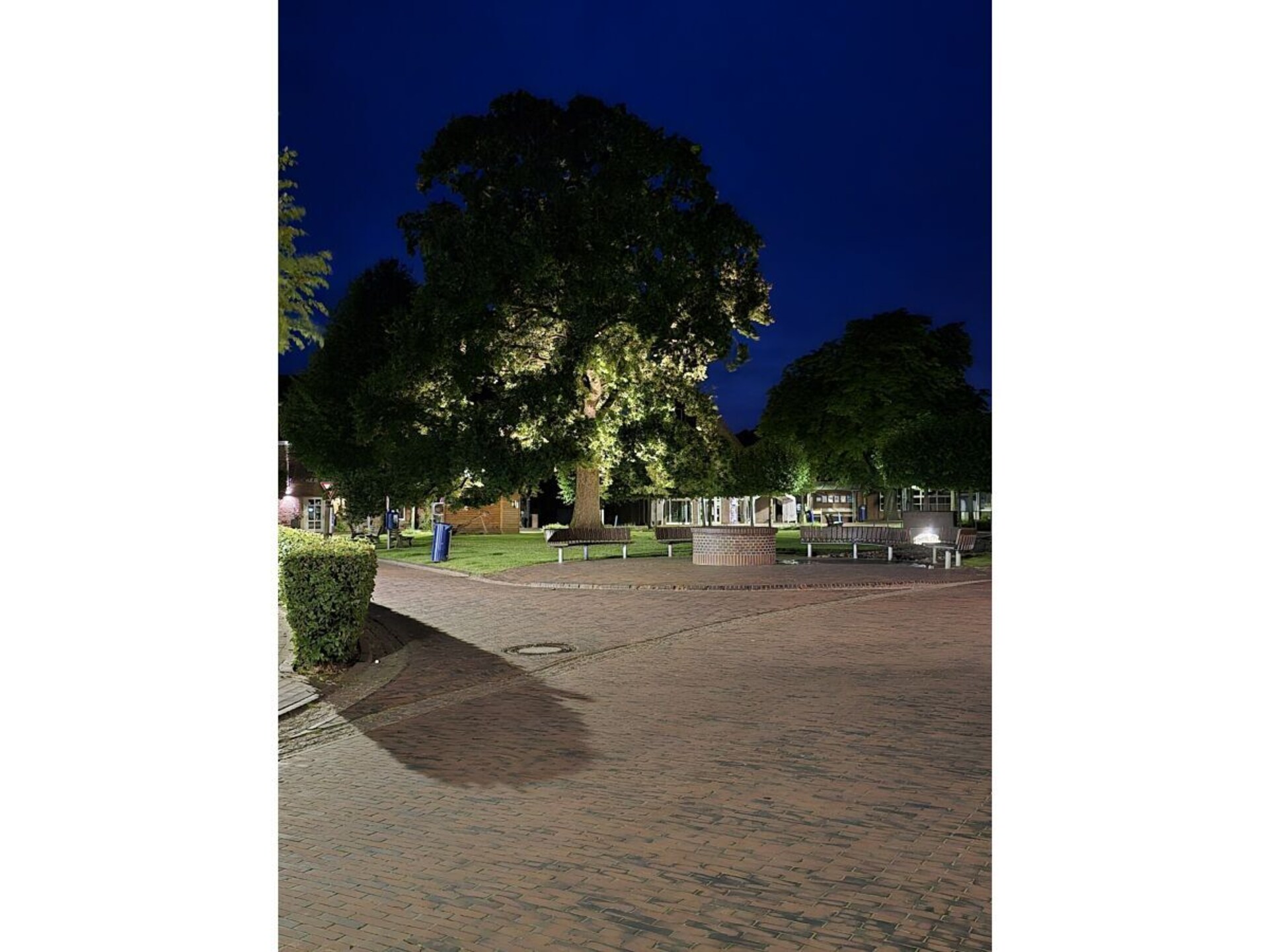 279787 - foto 32